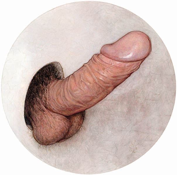 Original Rule 34 Image