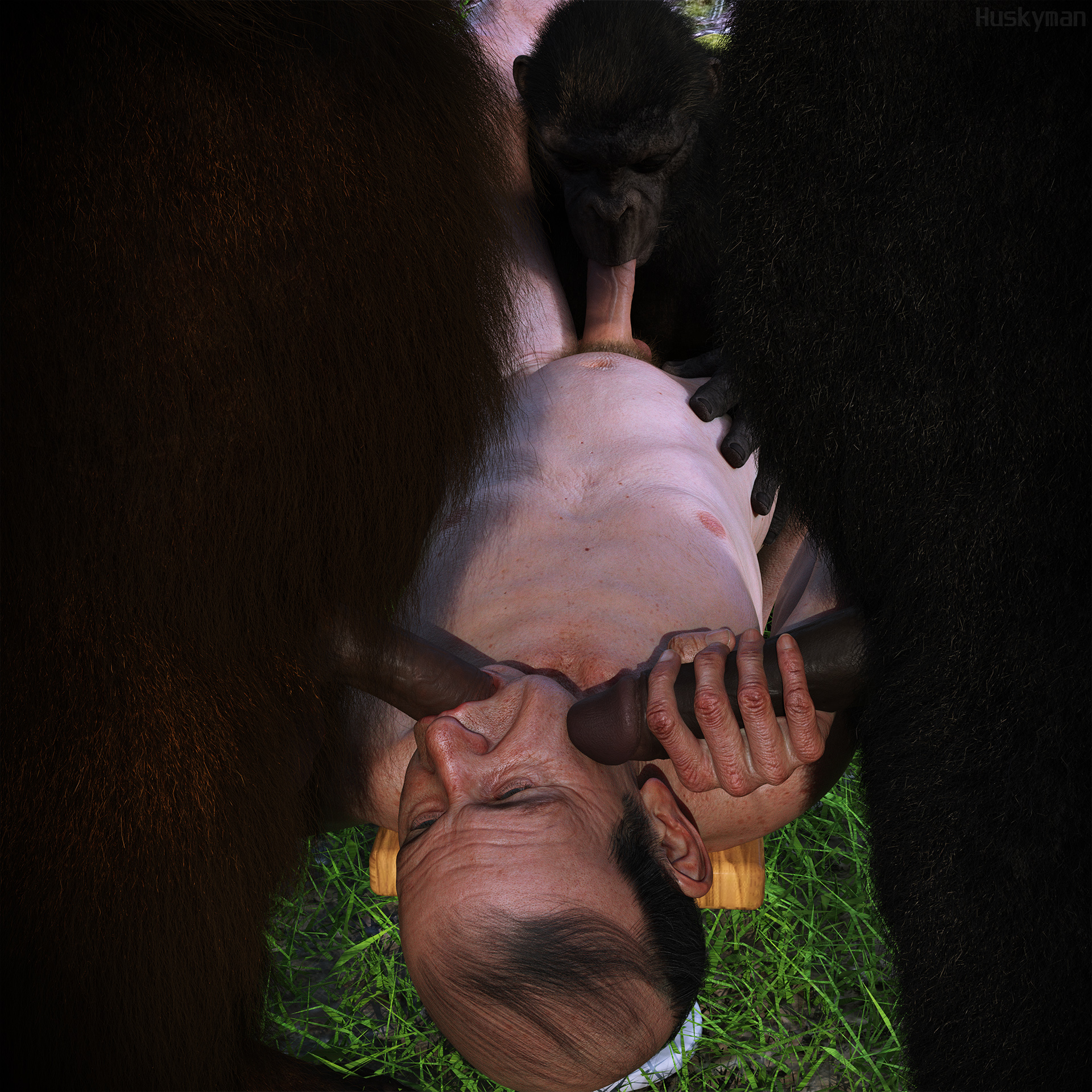 Ape Rule 34 Image