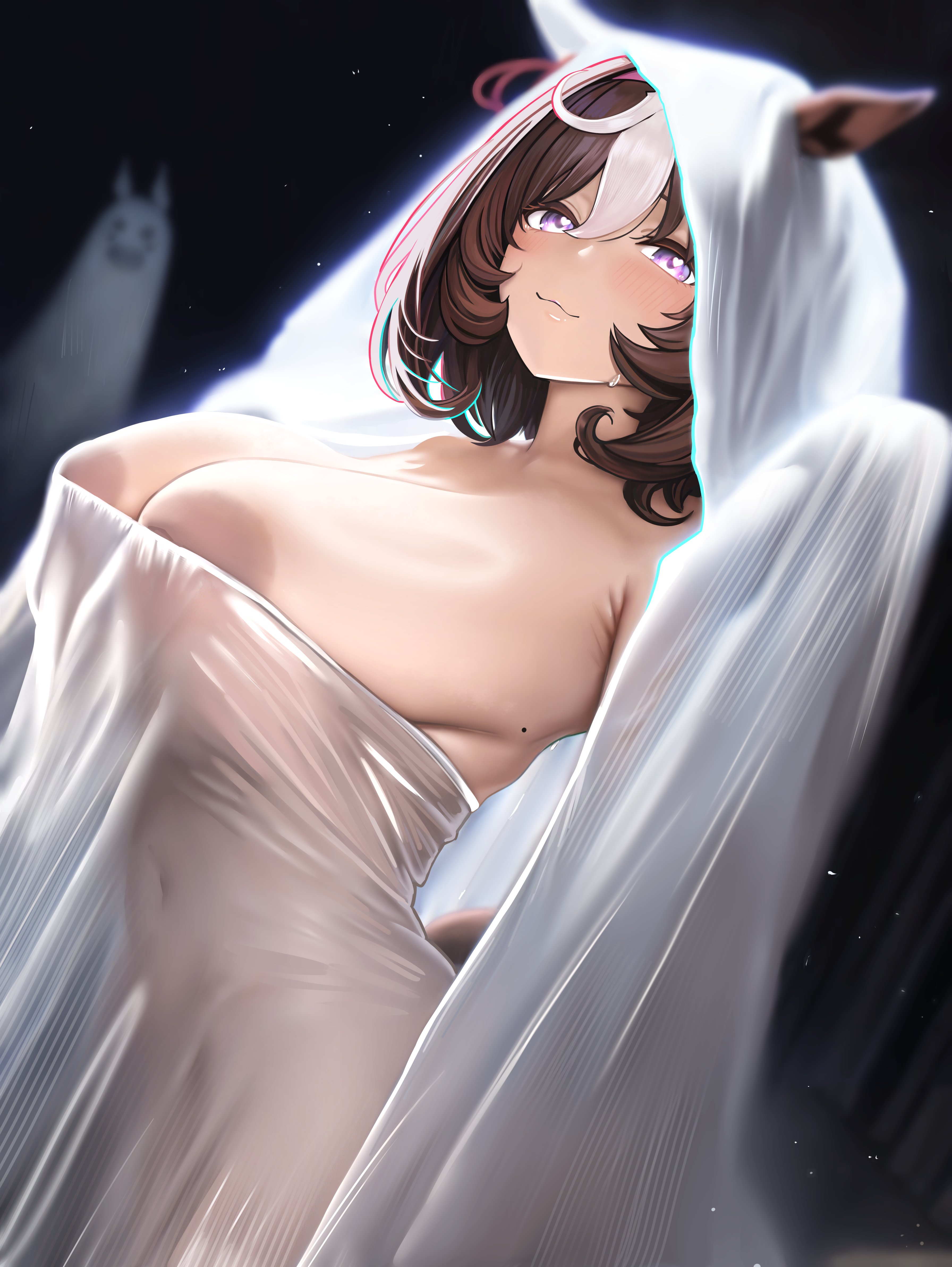 Meisho Doto (Umamusume) Rule 34 Image