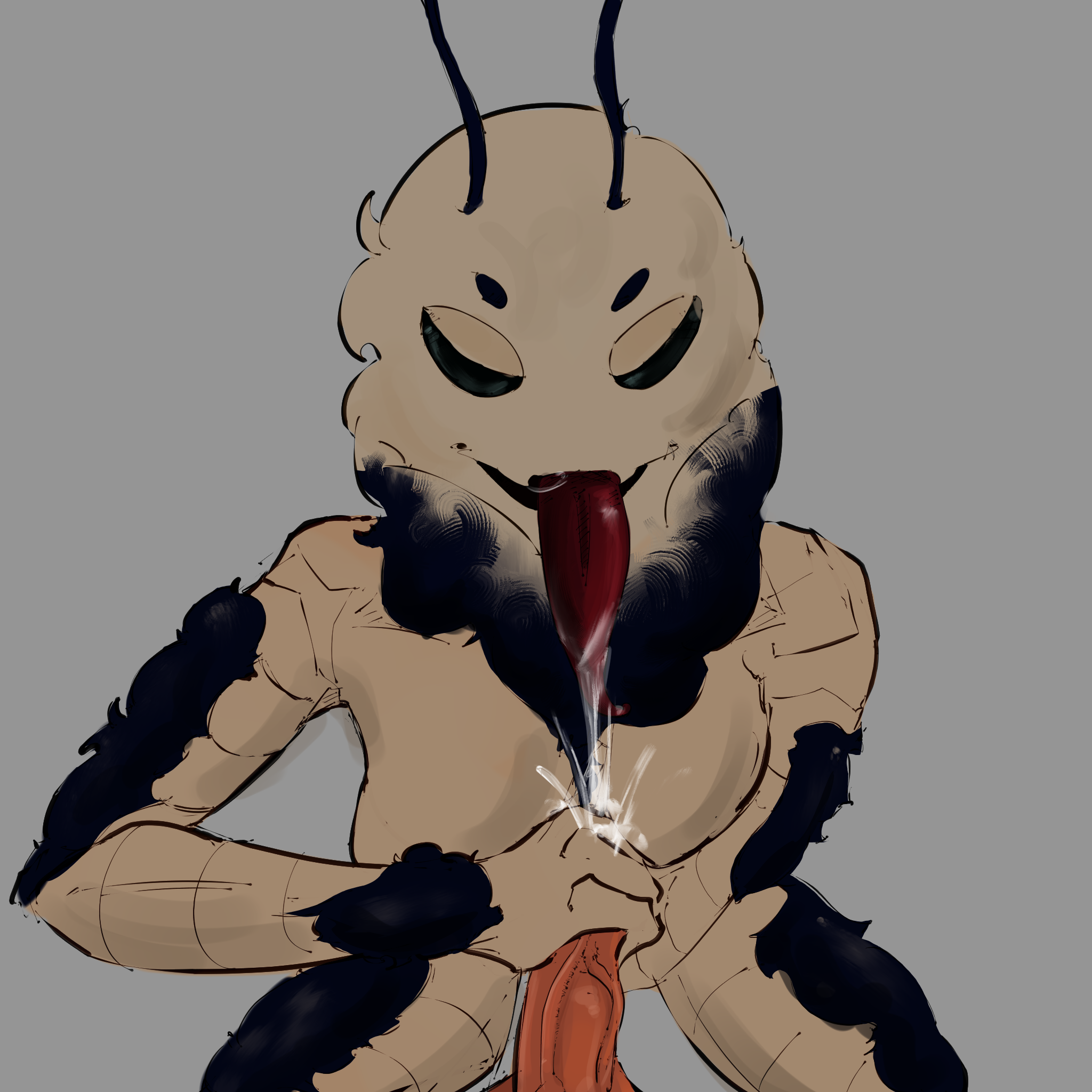 Antennae (Anatomy) Rule 34 Image
