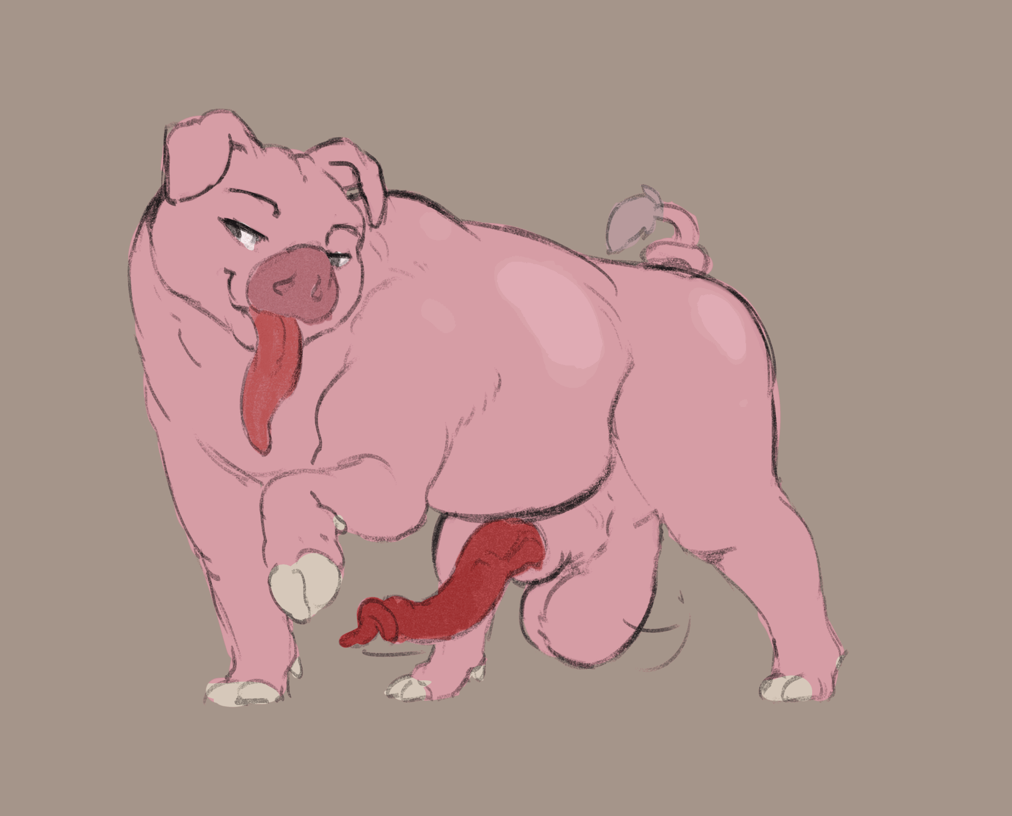 Sus (Pig) Rule 34 Image