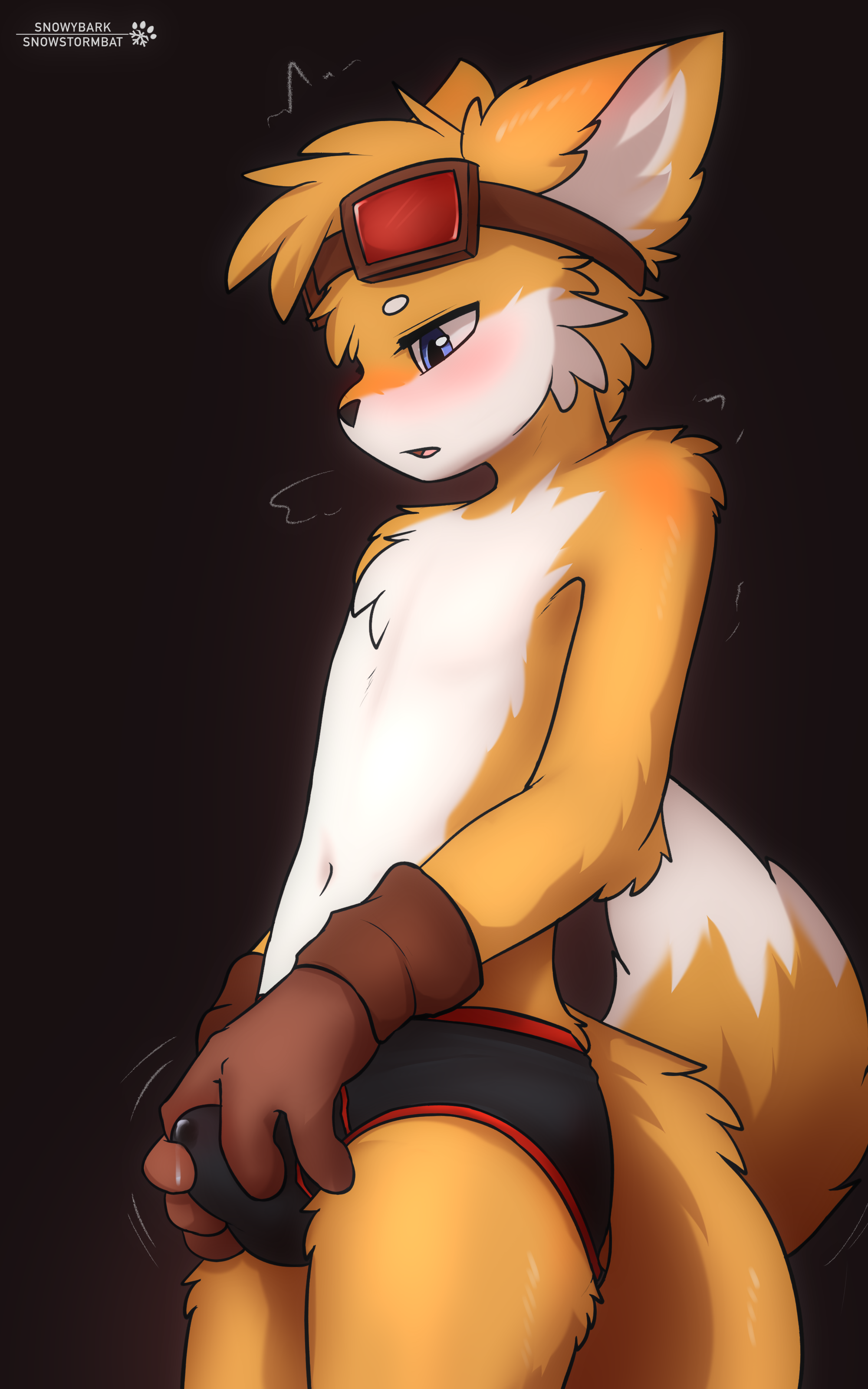 Miles Prower (Sega) Rule 34 Image