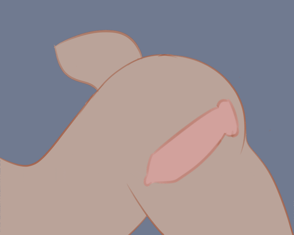 5:4 Rule 34 Image