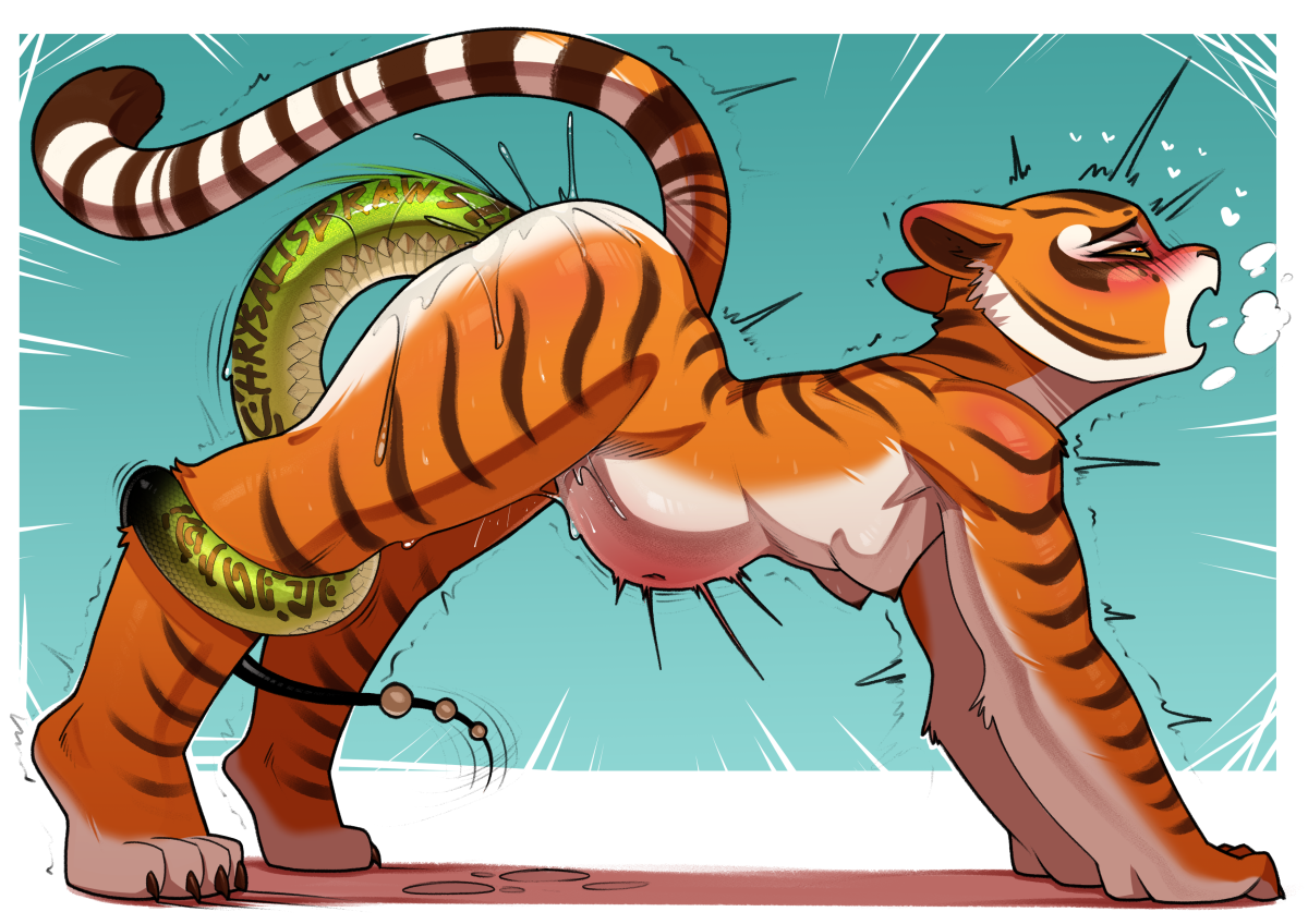 Master Tigress (Dreamworks) Rule 34 Image