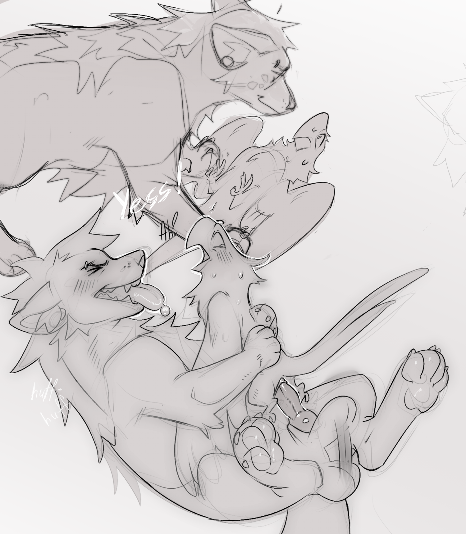 Animal Genitalia Rule 34 Image
