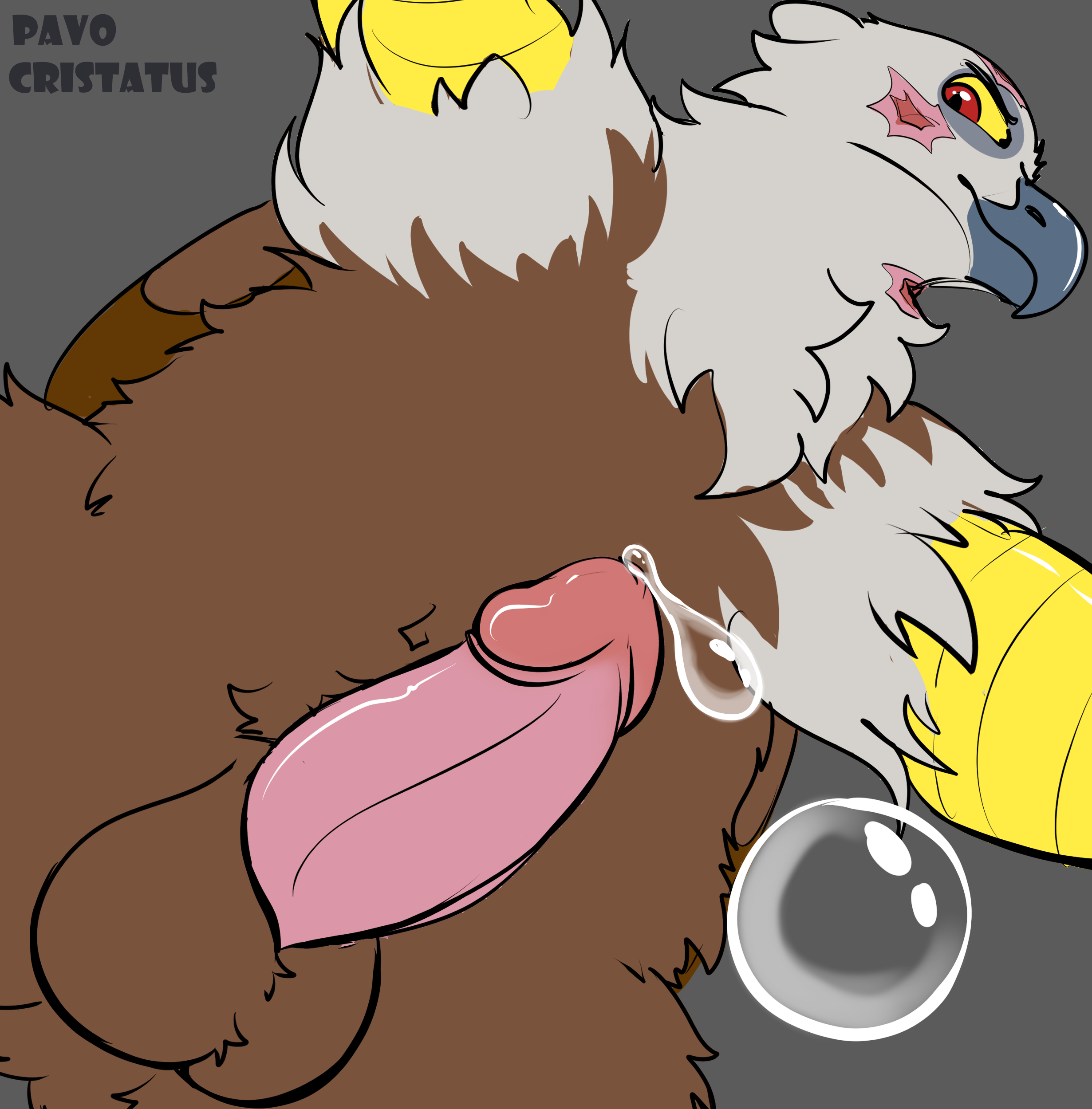 Gustav (Hasbro) Rule 34 Image