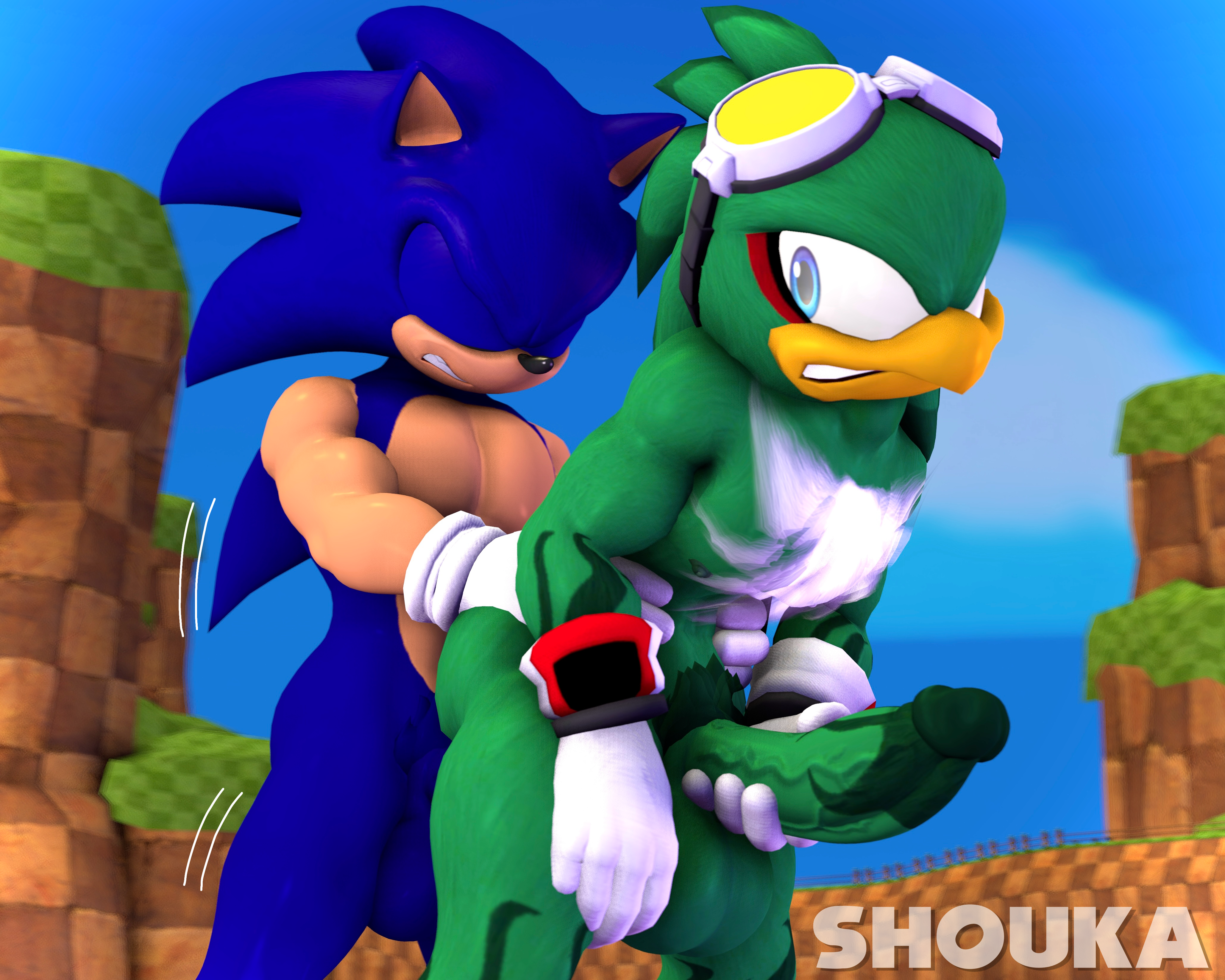 Jet The Hawk (Sega) Rule 34 Image