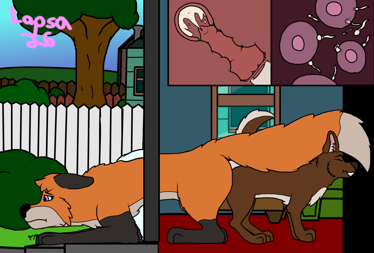 Socks (Marking) Rule 34 Image
