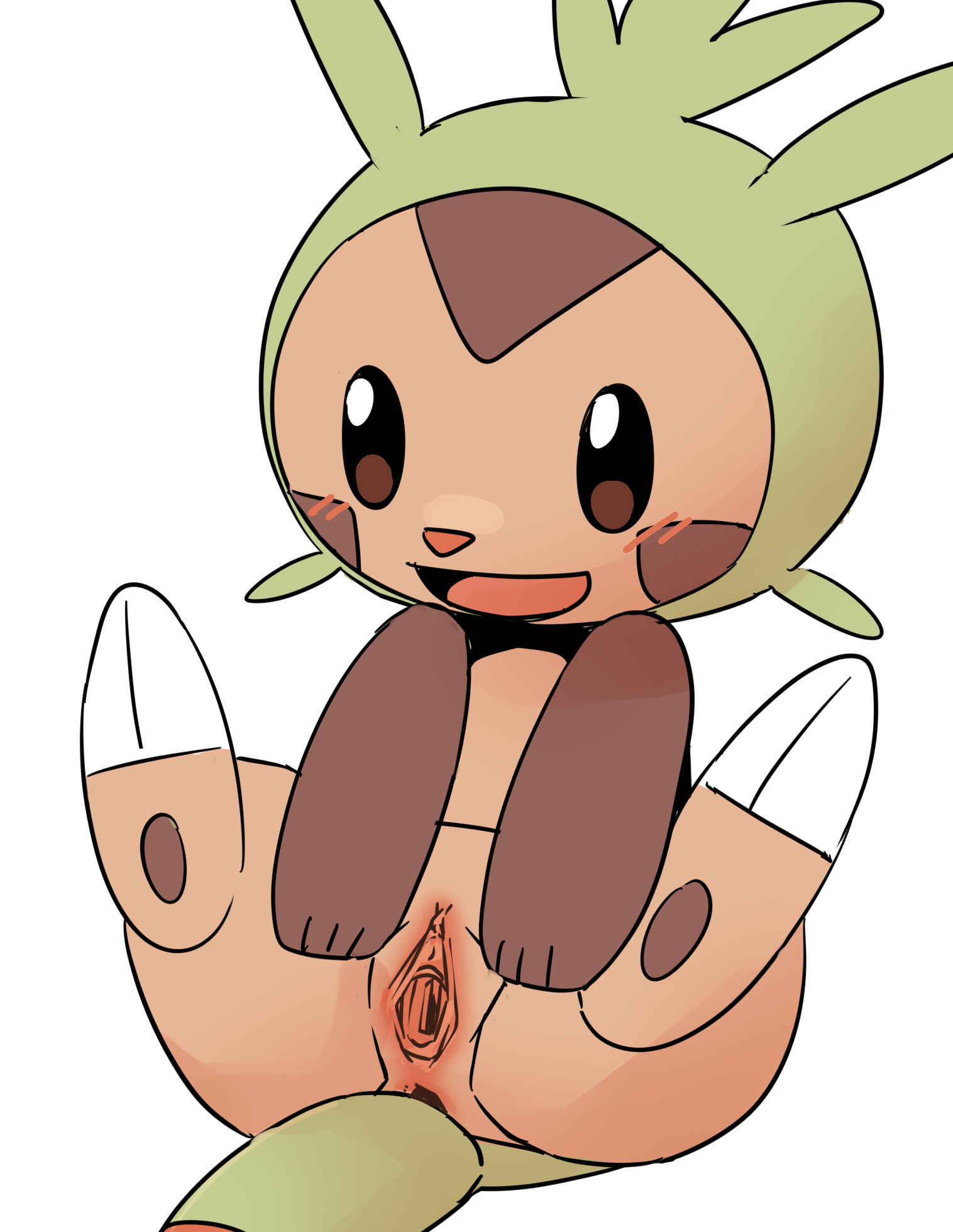 Chespin (Nintendo) Rule 34 Image