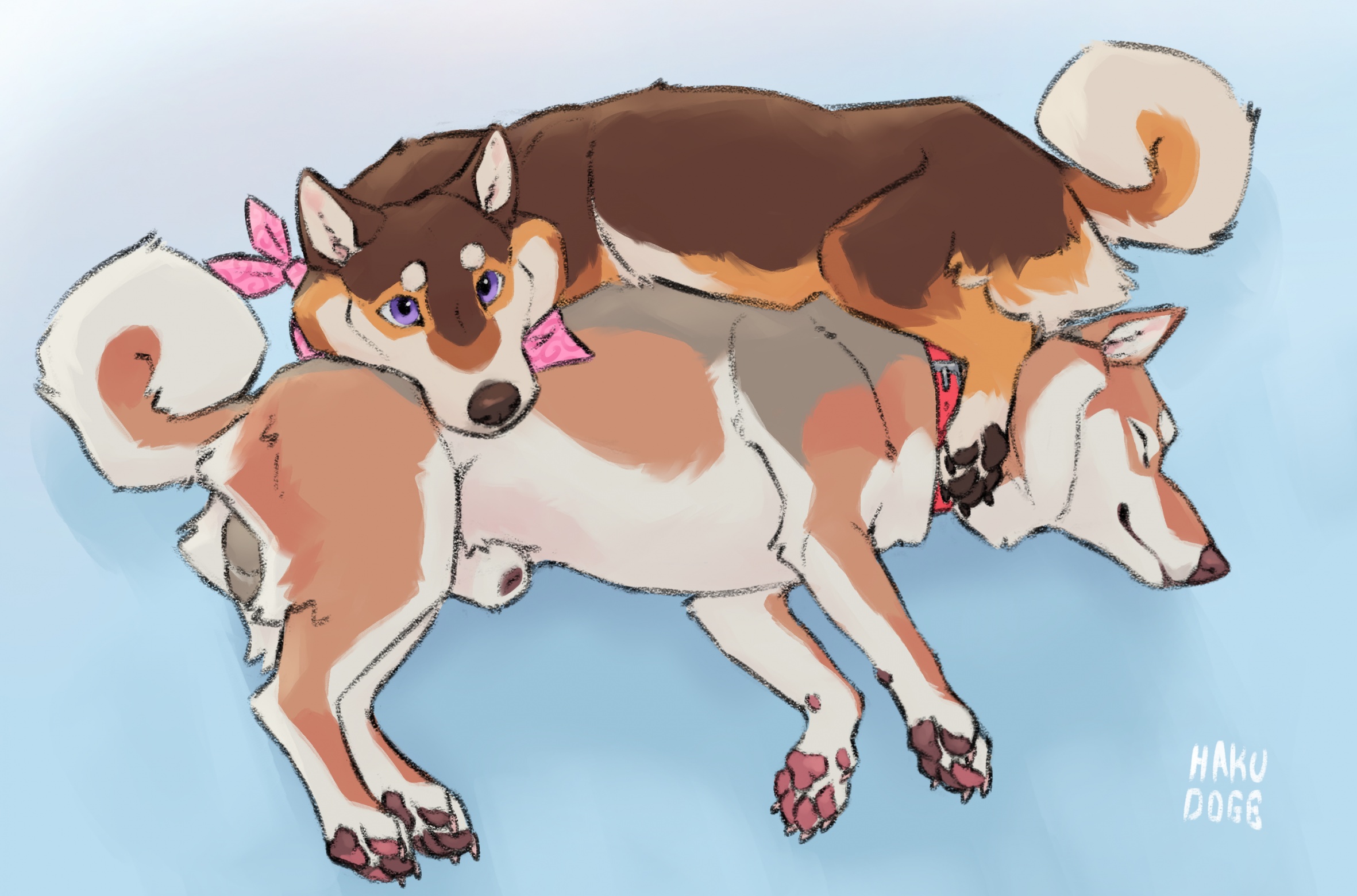 Fen (Hakudoge) Rule 34 Image