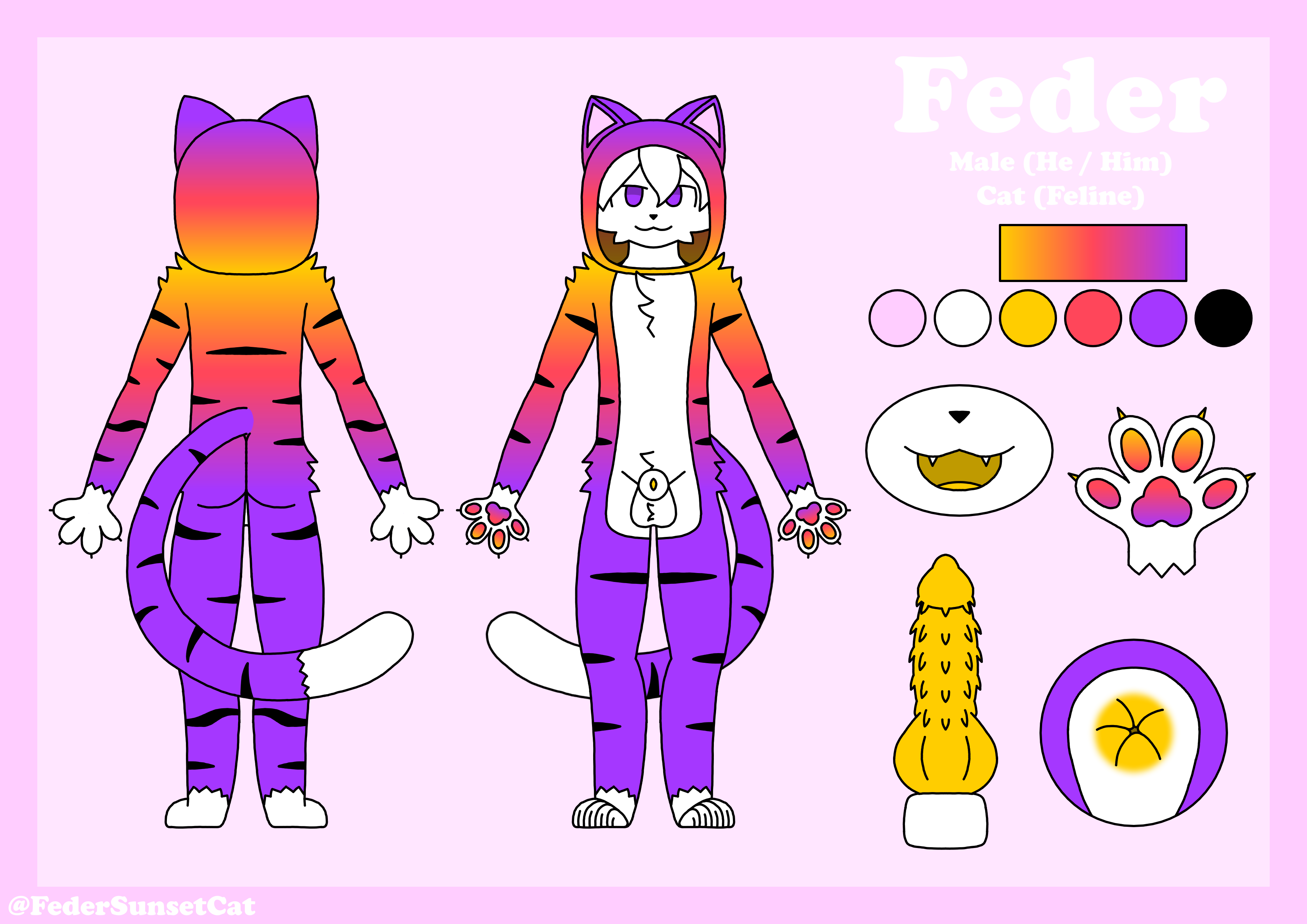 Feder (Federsunsetcat) Rule 34 Image