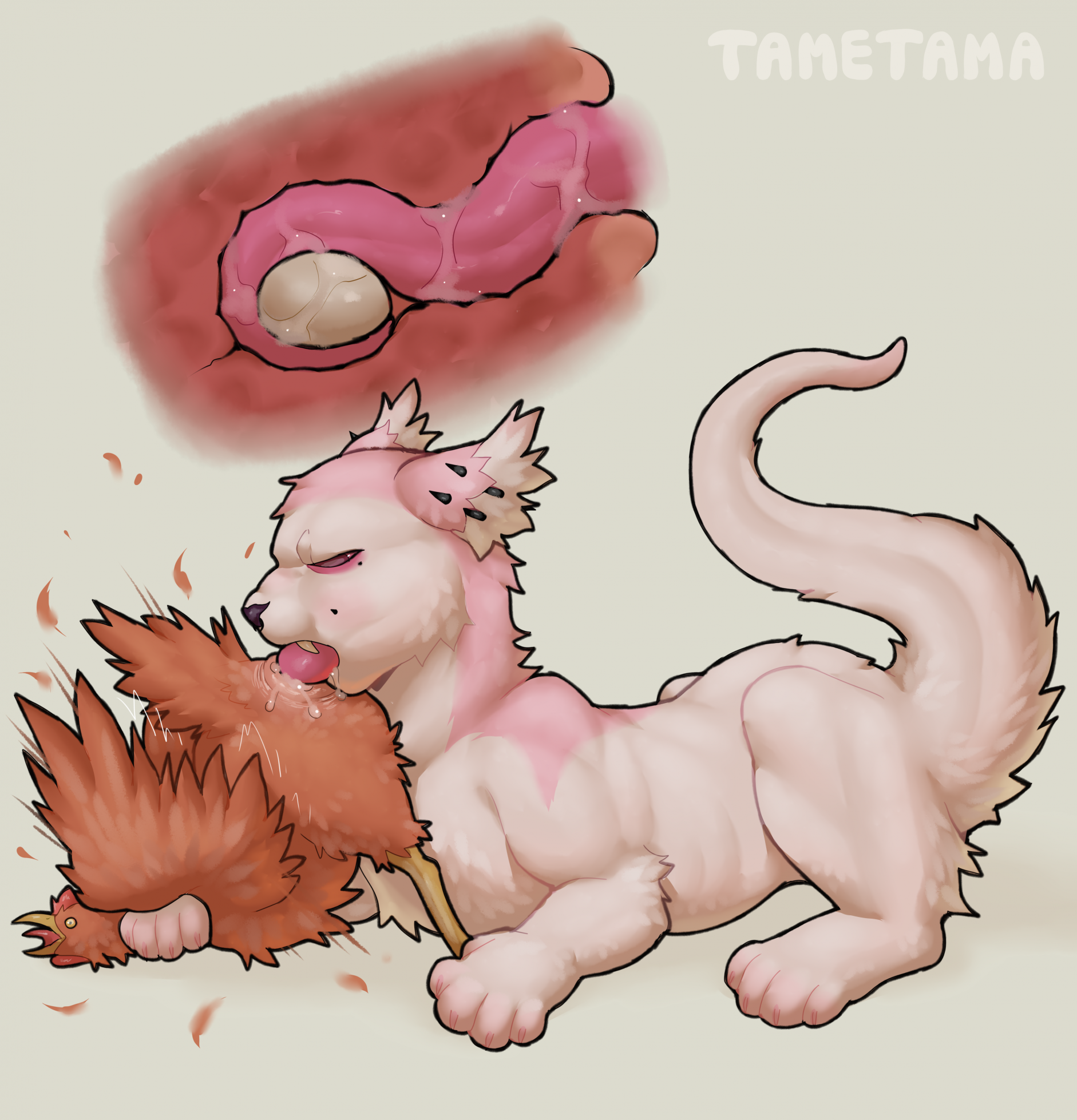Tama (Tametama) Rule 34 Image