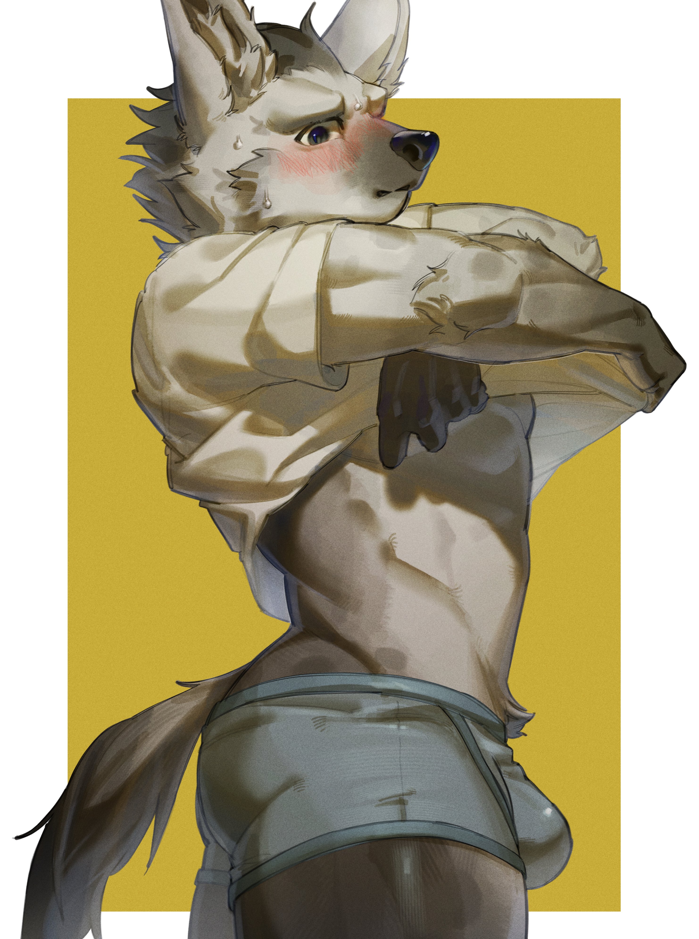 Spot (Arknights) Rule 34 Image