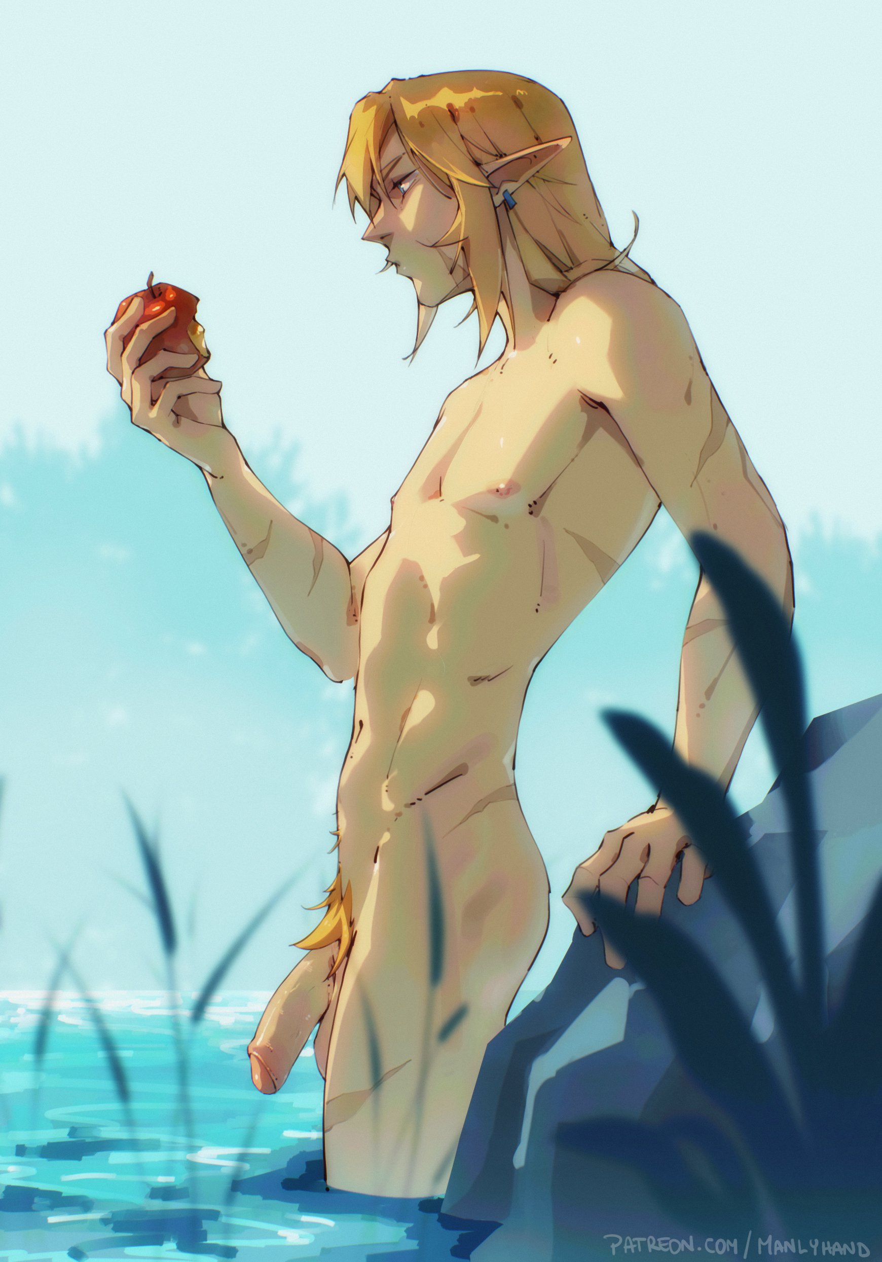Link (The Legend Of Zelda) Rule 34 Image