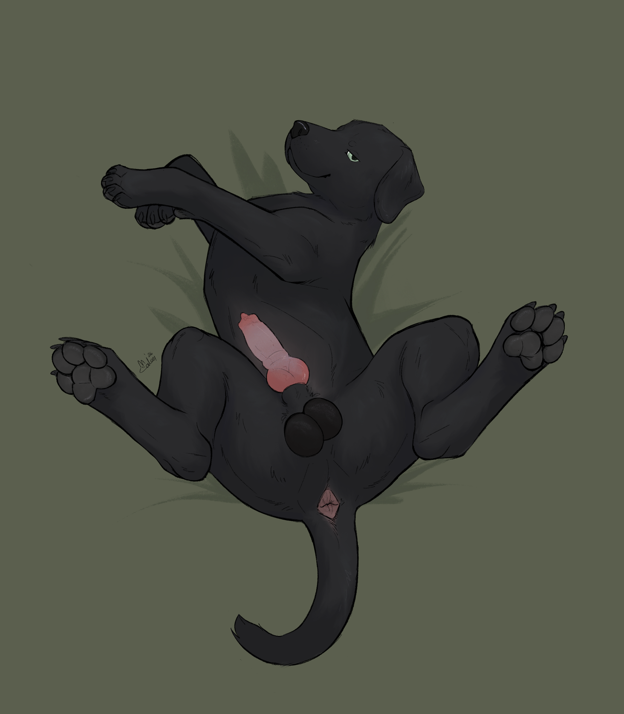 Foggy (Foggydoggy) Rule 34 Image