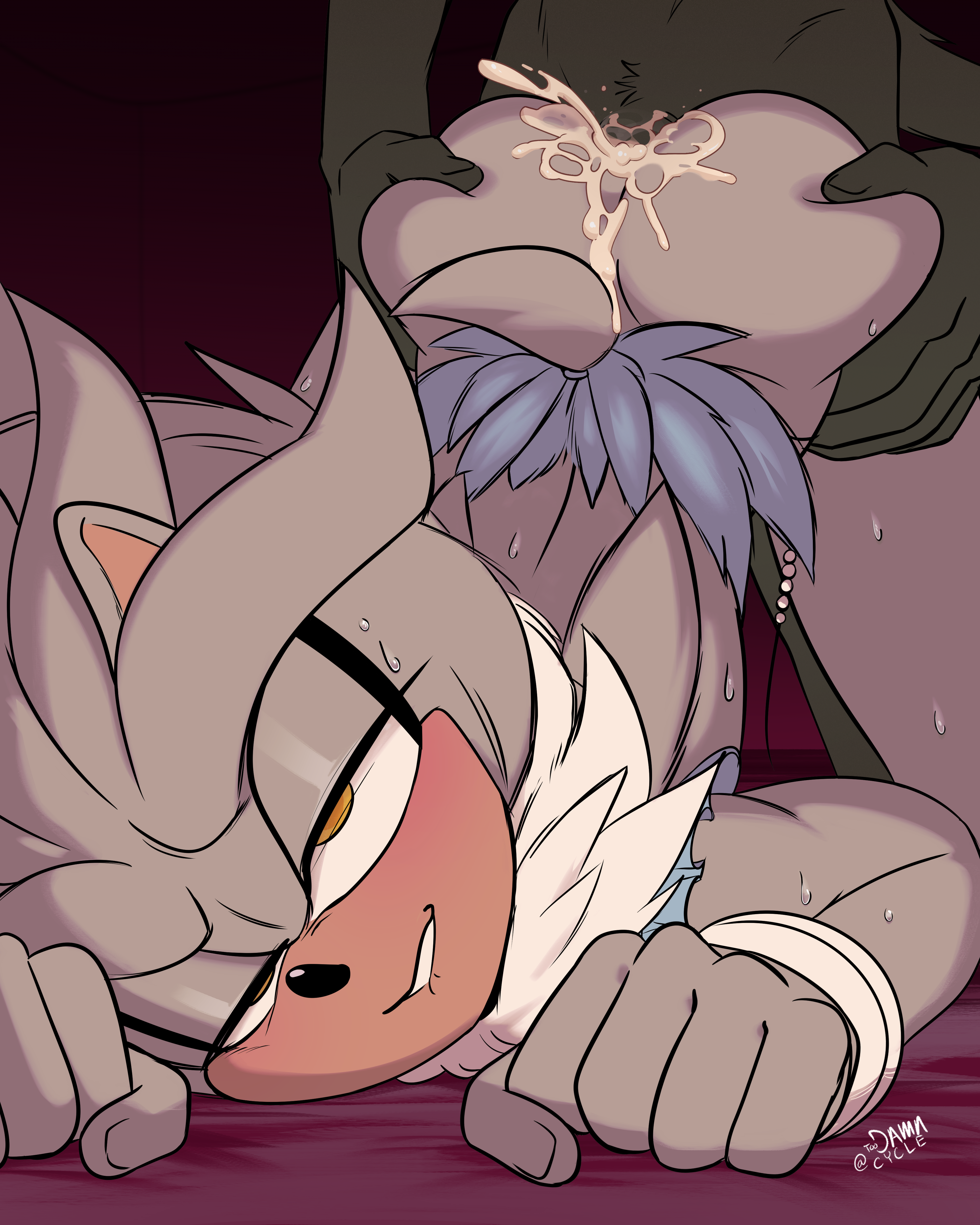 Silver The Hedgehog (Sega) Rule 34 Image