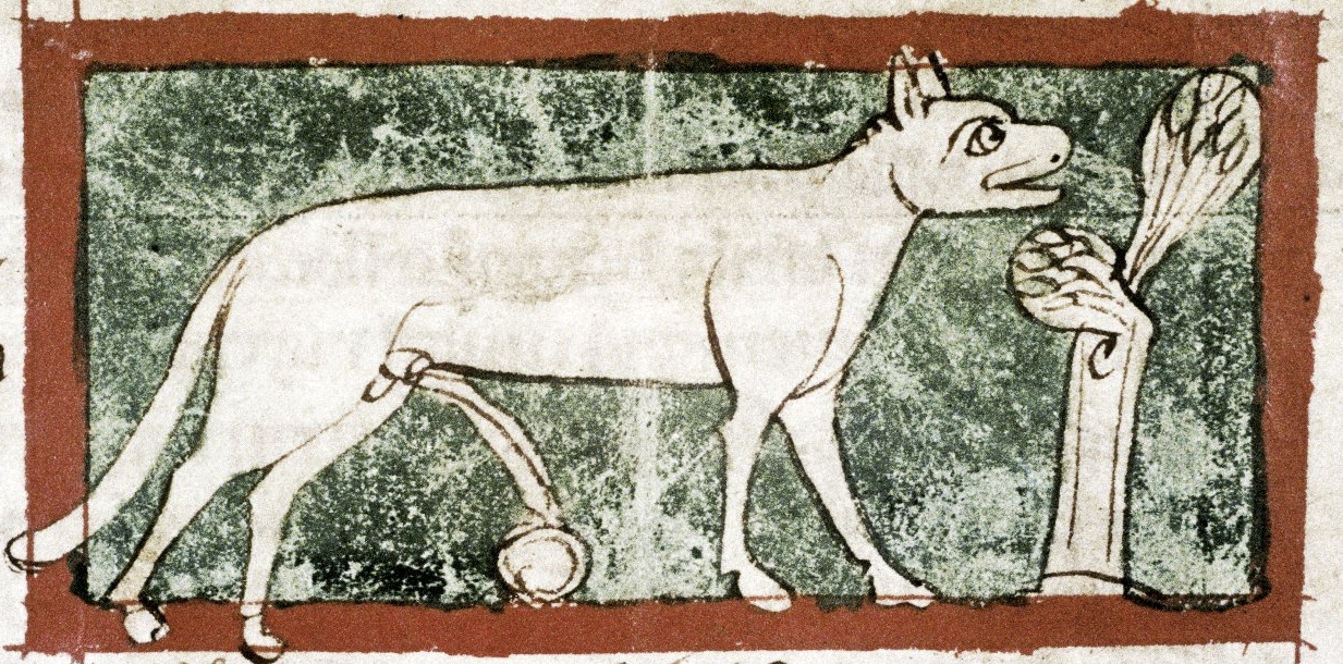 13th Century Rule 34 Image