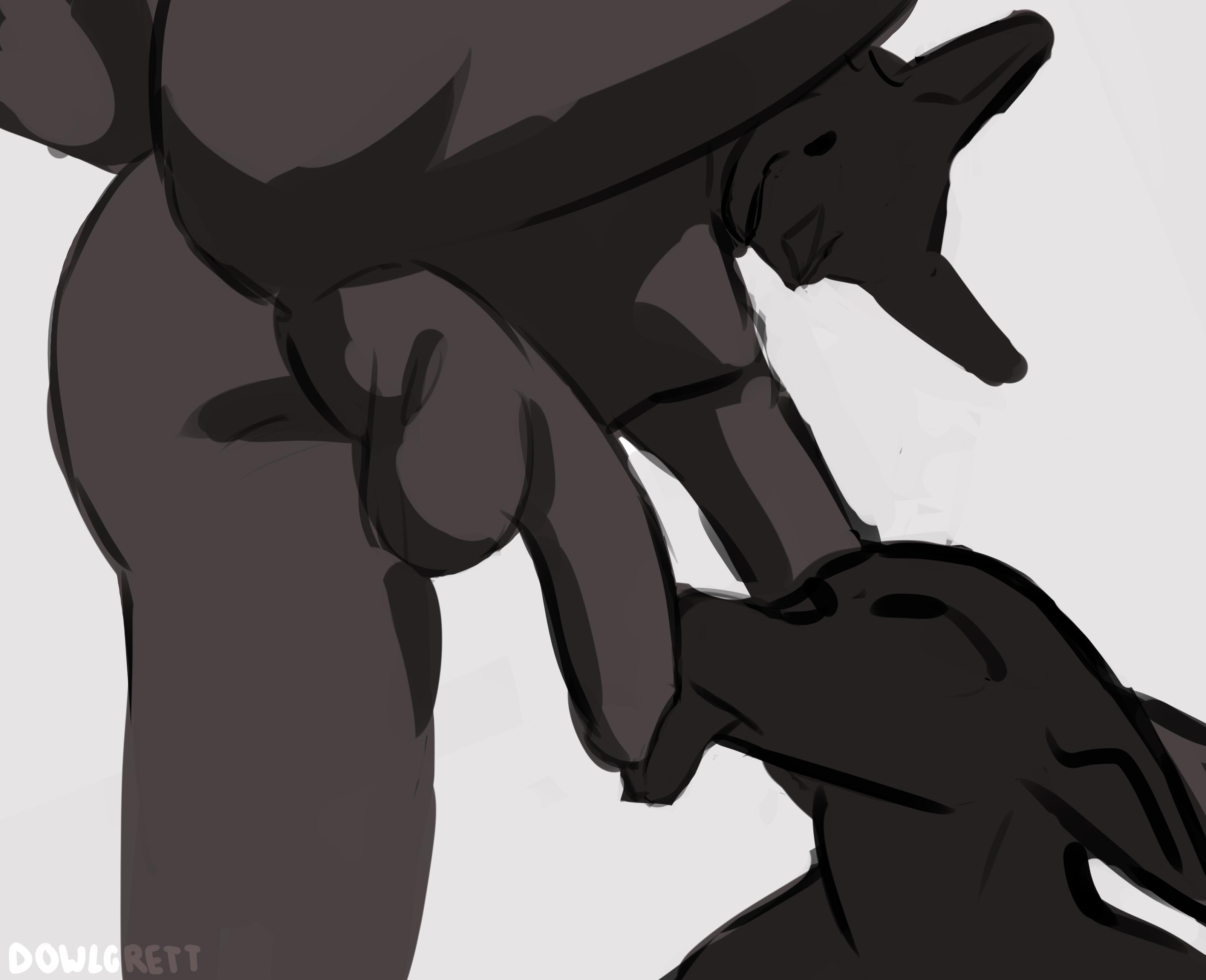 Absurd Res Rule 34 Image