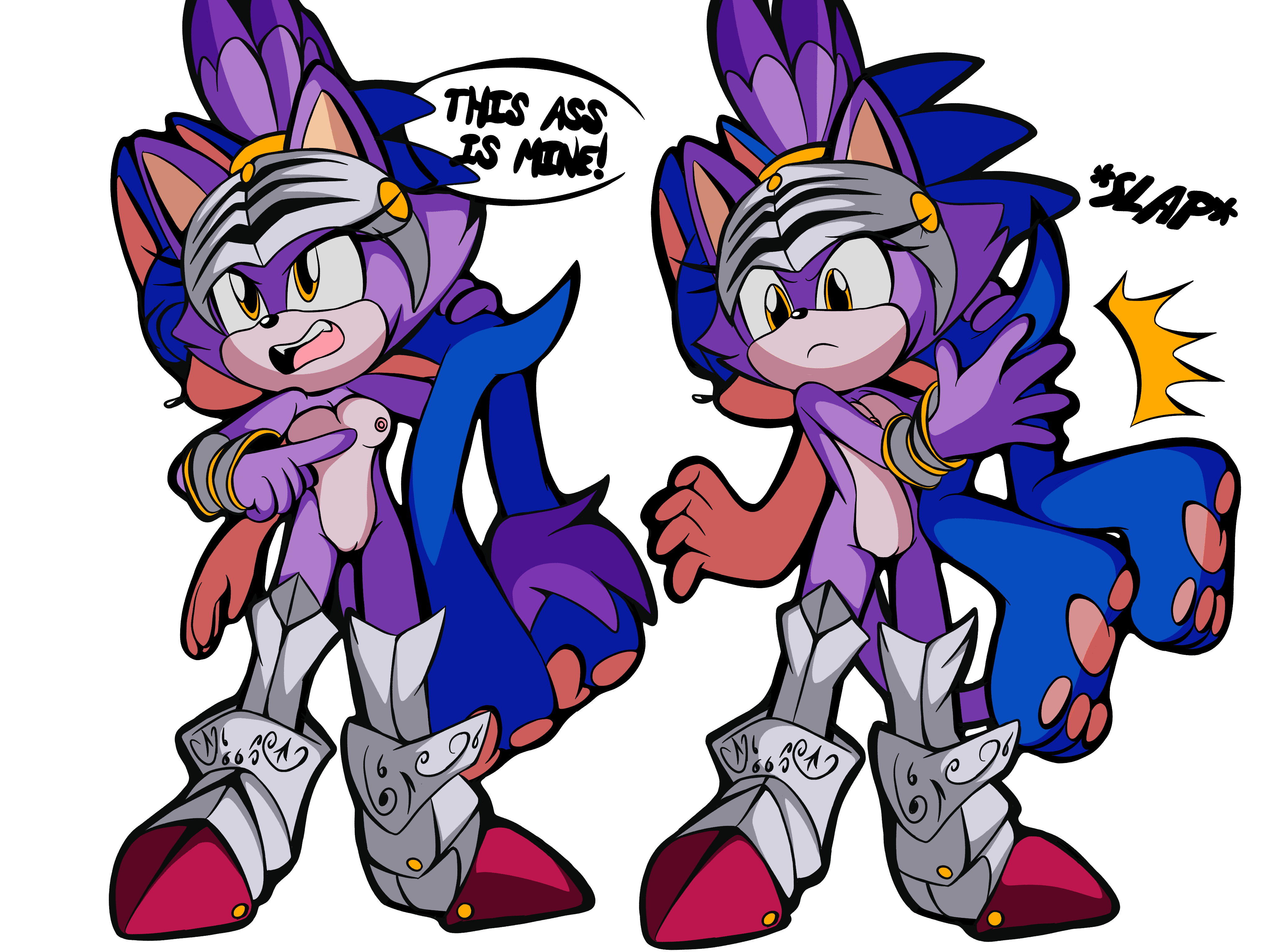 Blaze The Cat (Sega) Rule 34 Image