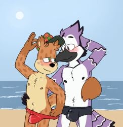 Blaise (Manchotchaud) Rule 34 Image