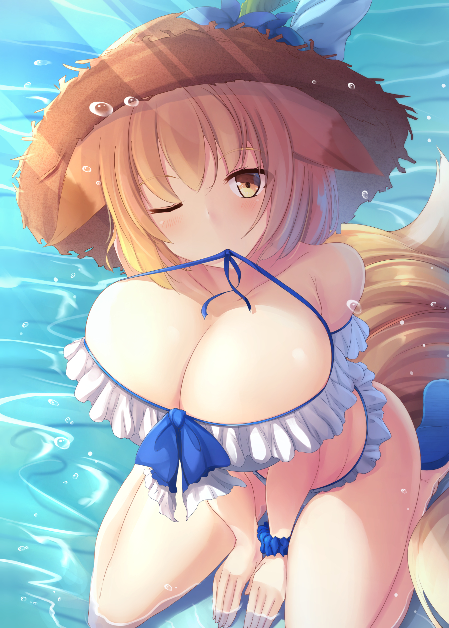 Ran Yakumo (Touhou) Rule 34 Image