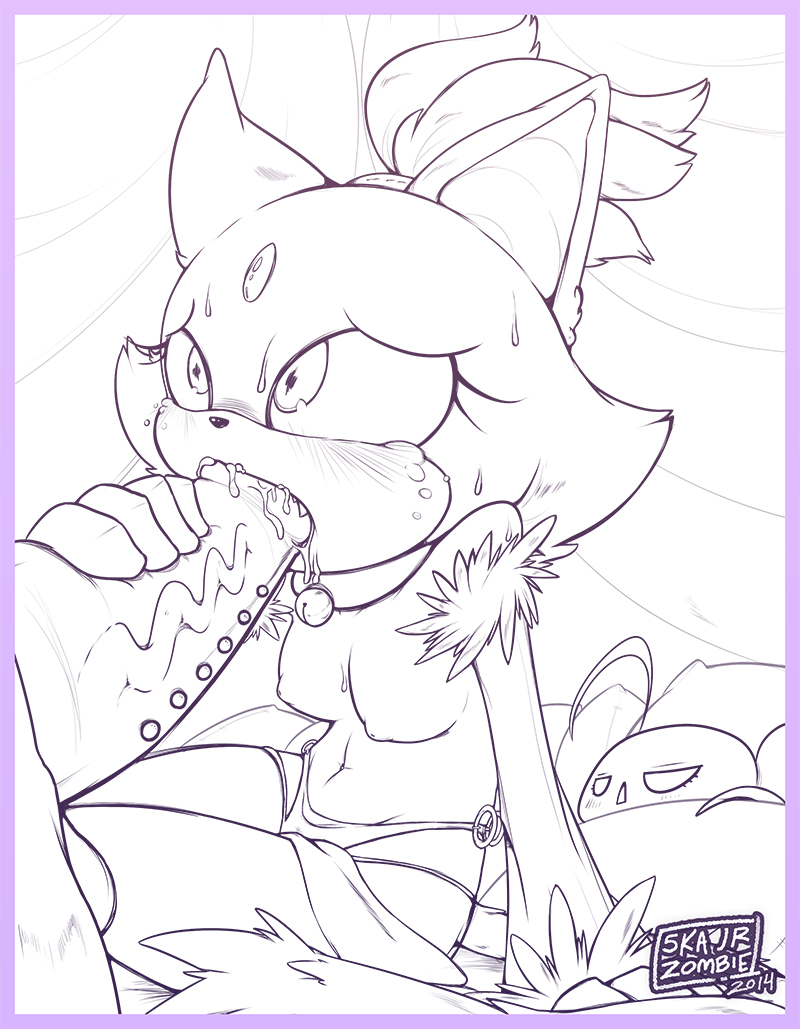 Blaze The Cat (Sonic (Series)) Rule 34 Image