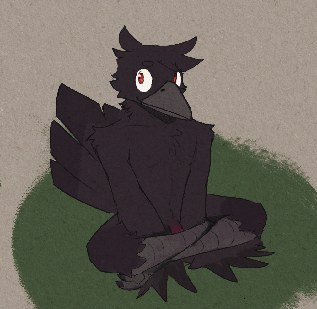 Corvus (Genus) Rule 34 Image