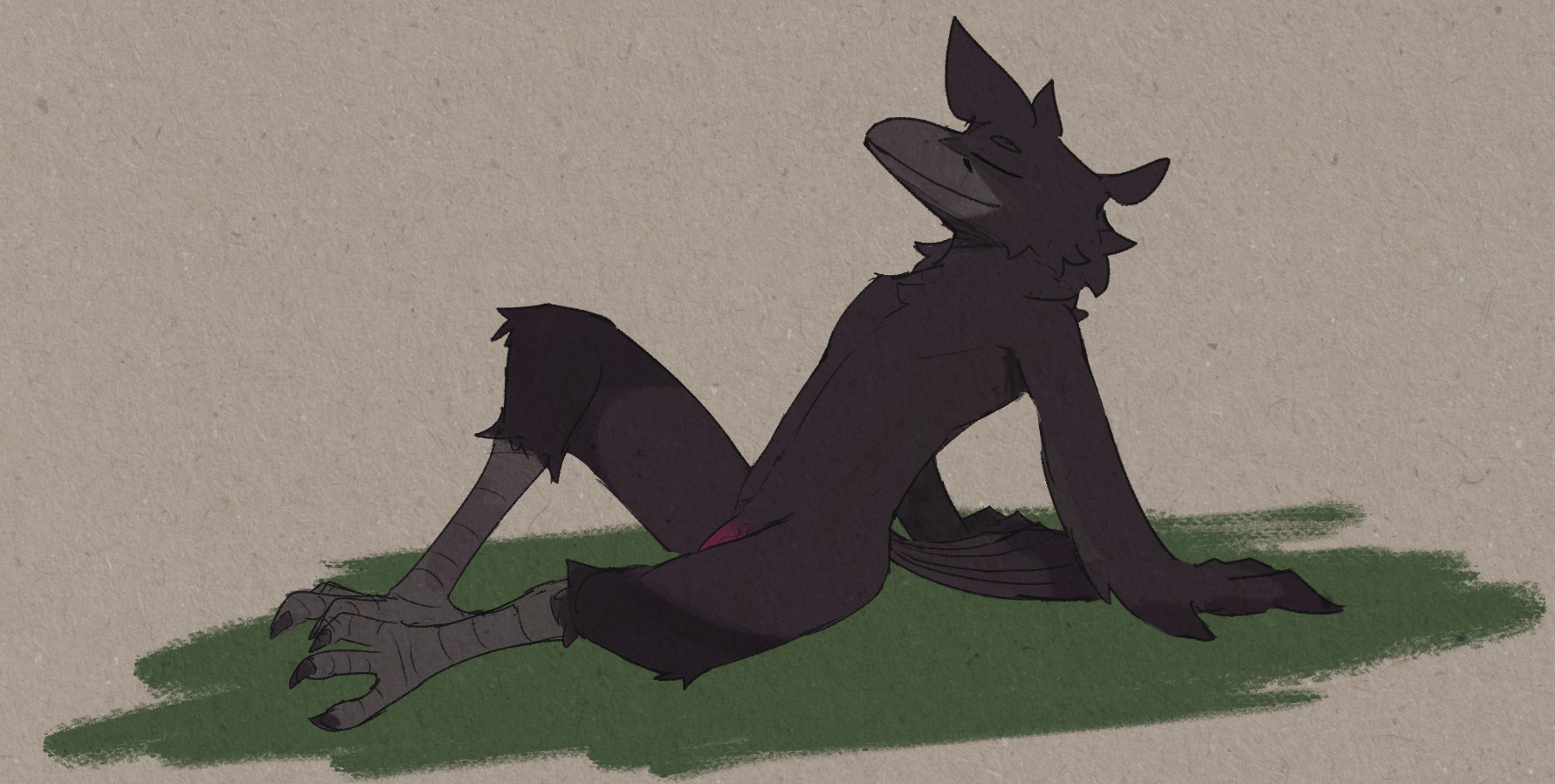 Corvus (Genus) Rule 34 Image