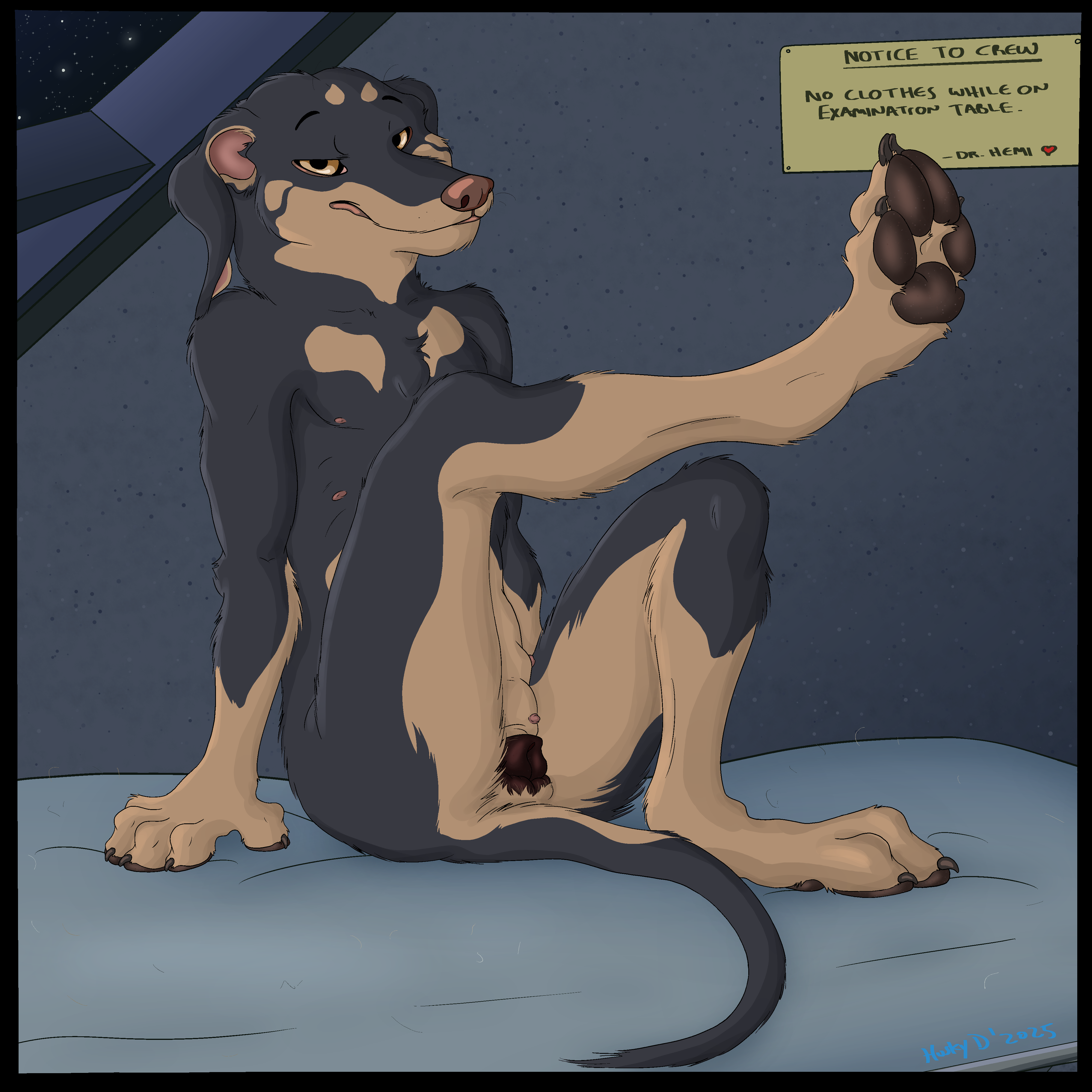 Ace (Gthusky) Rule 34 Image