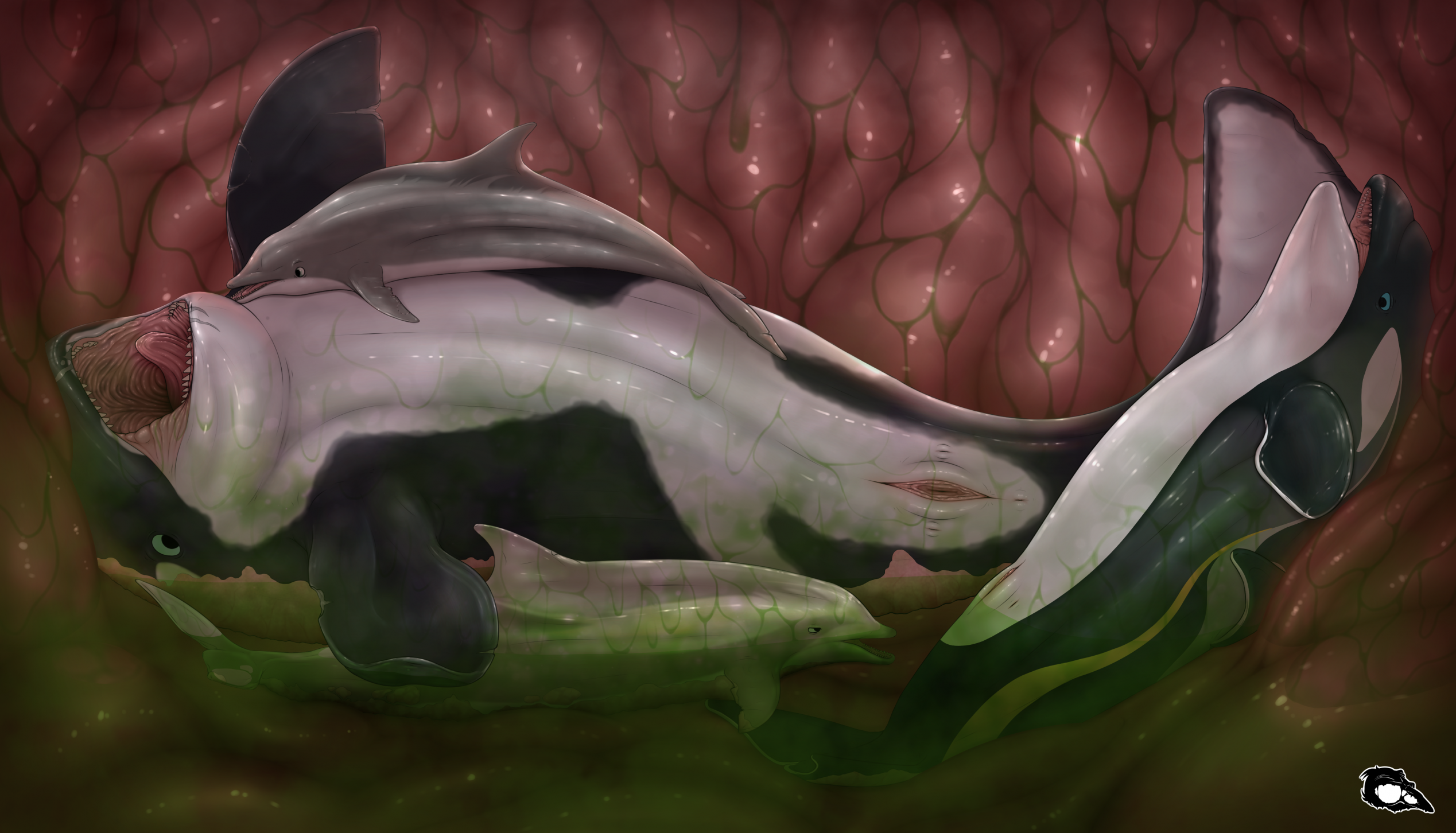 Dosfin Rule 34 Image