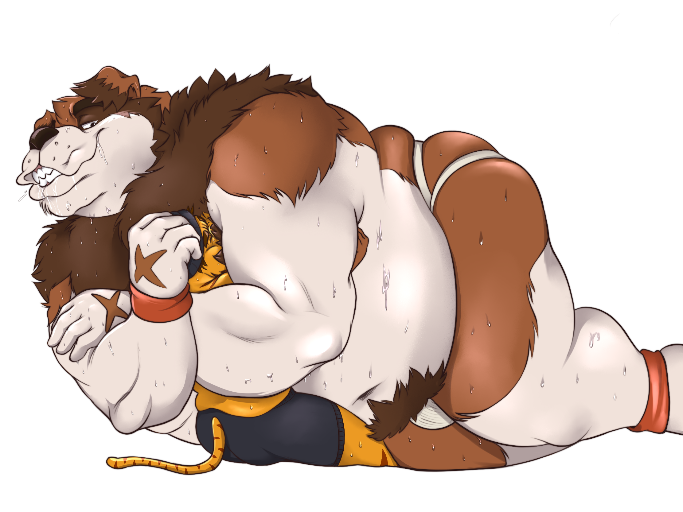 4:3 Rule 34 Image