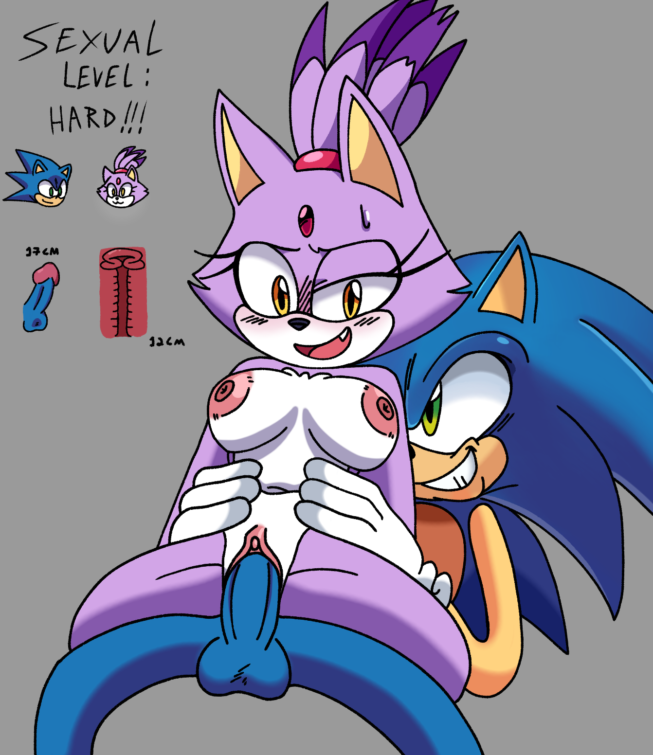 Blaze The Cat (Sega) Rule 34 Image