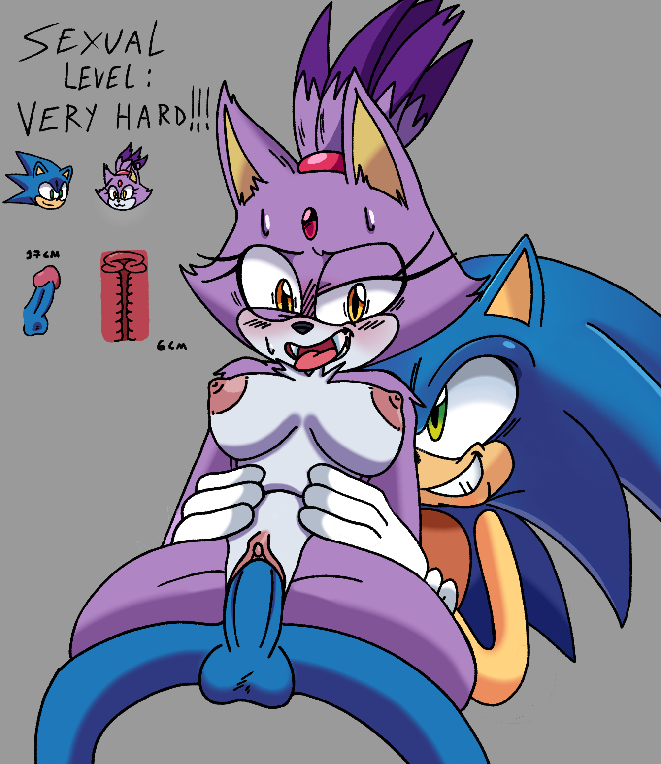 Blaze The Cat (Sega) Rule 34 Image