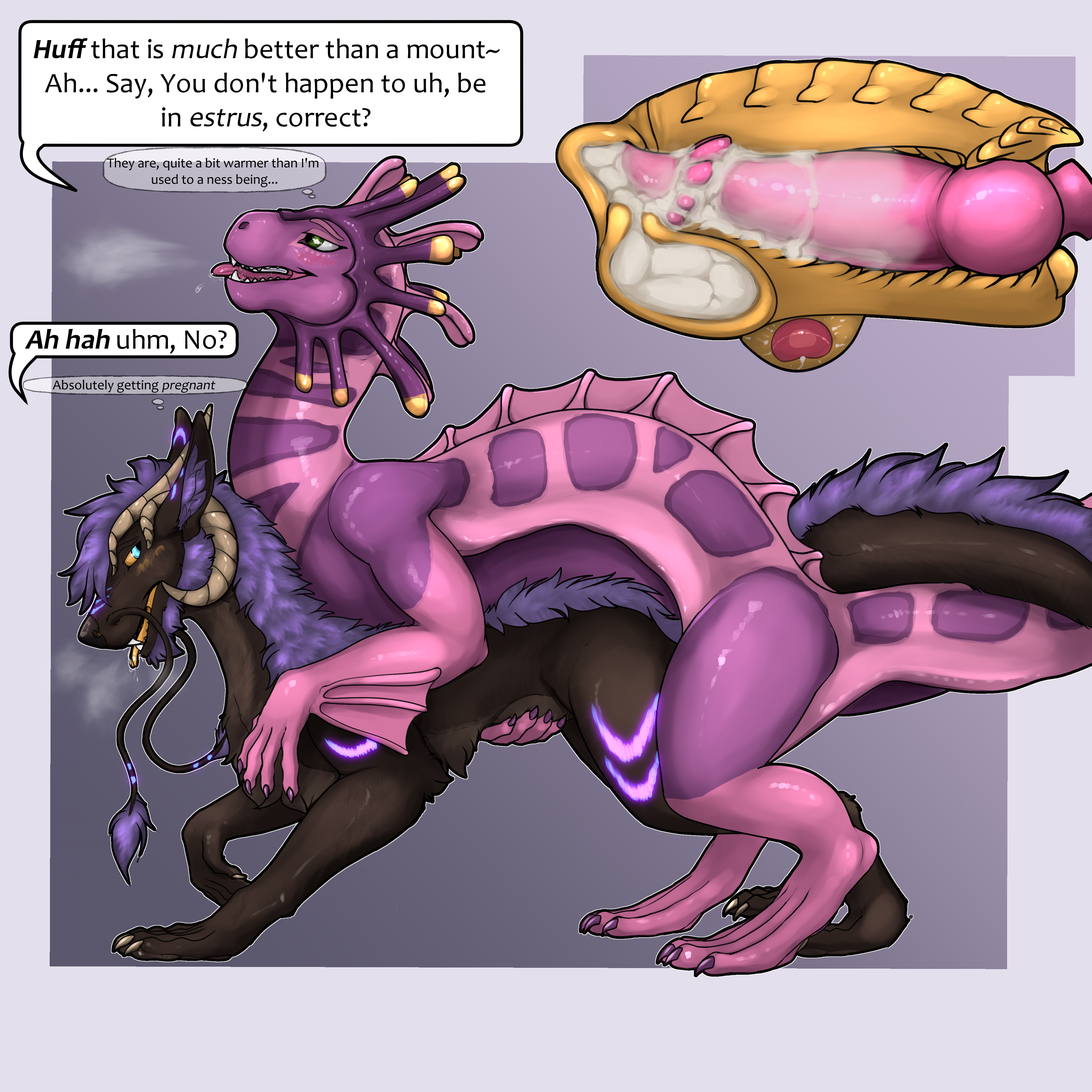 Ennis (Ennismore) Rule 34 Image