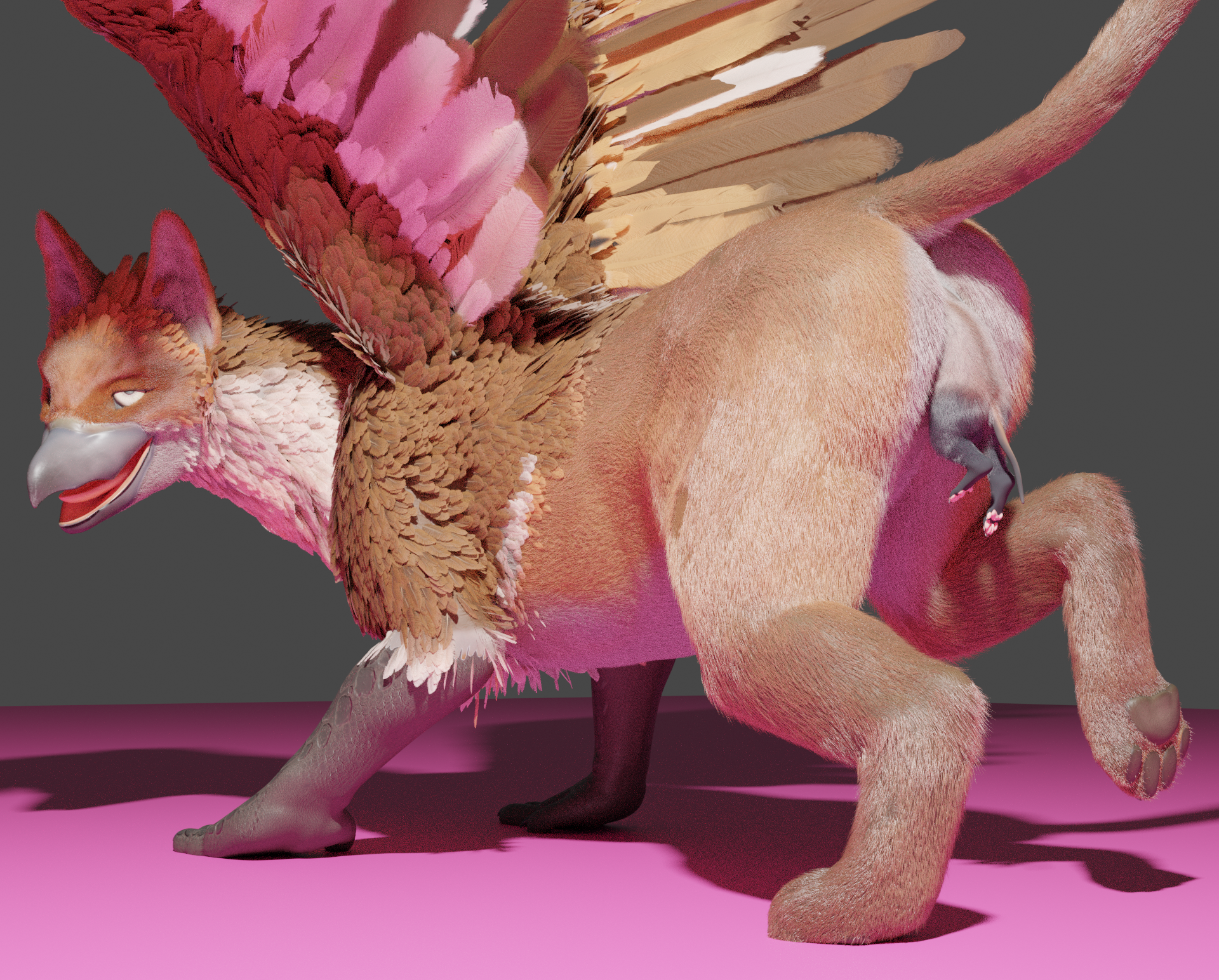 Gryphon (Untied Verbeger) Rule 34 Image