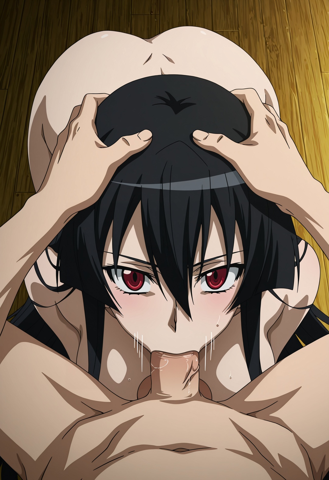 Akame (Akame Ga Kill!) Rule 34 Image