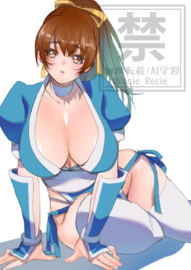 Kasumi (Doa) Rule 34 Image