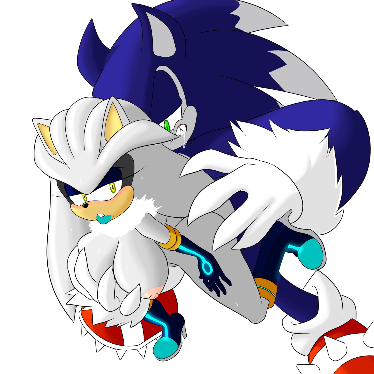 Silver The Hedgehog (Sega) Rule 34 Image