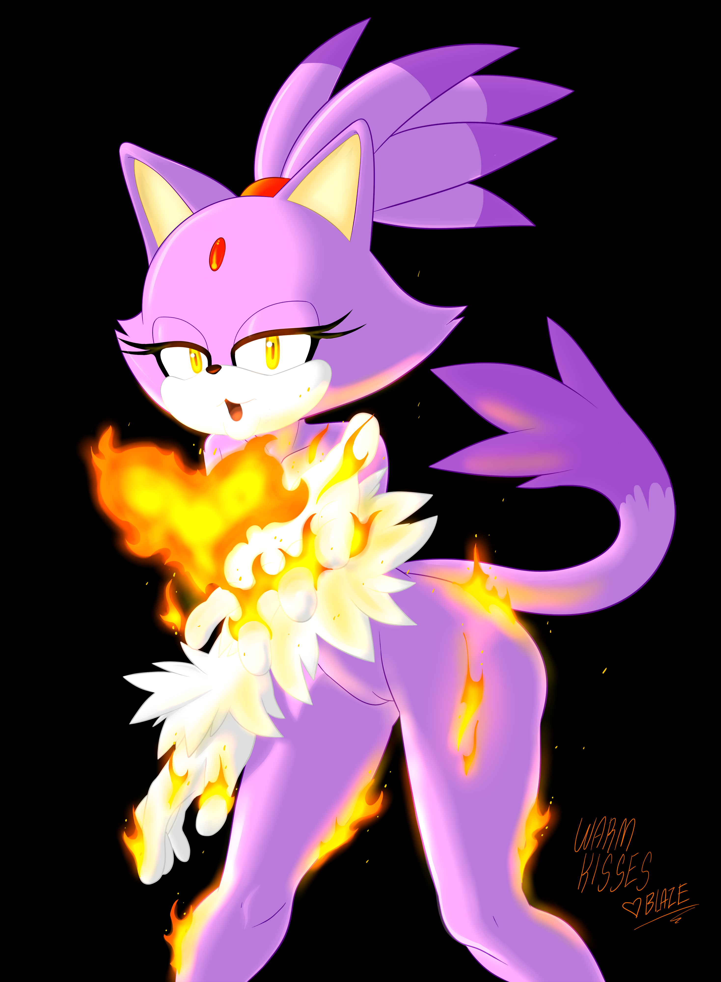 Blaze The Cat (Sonic (Series)) Rule 34 Image