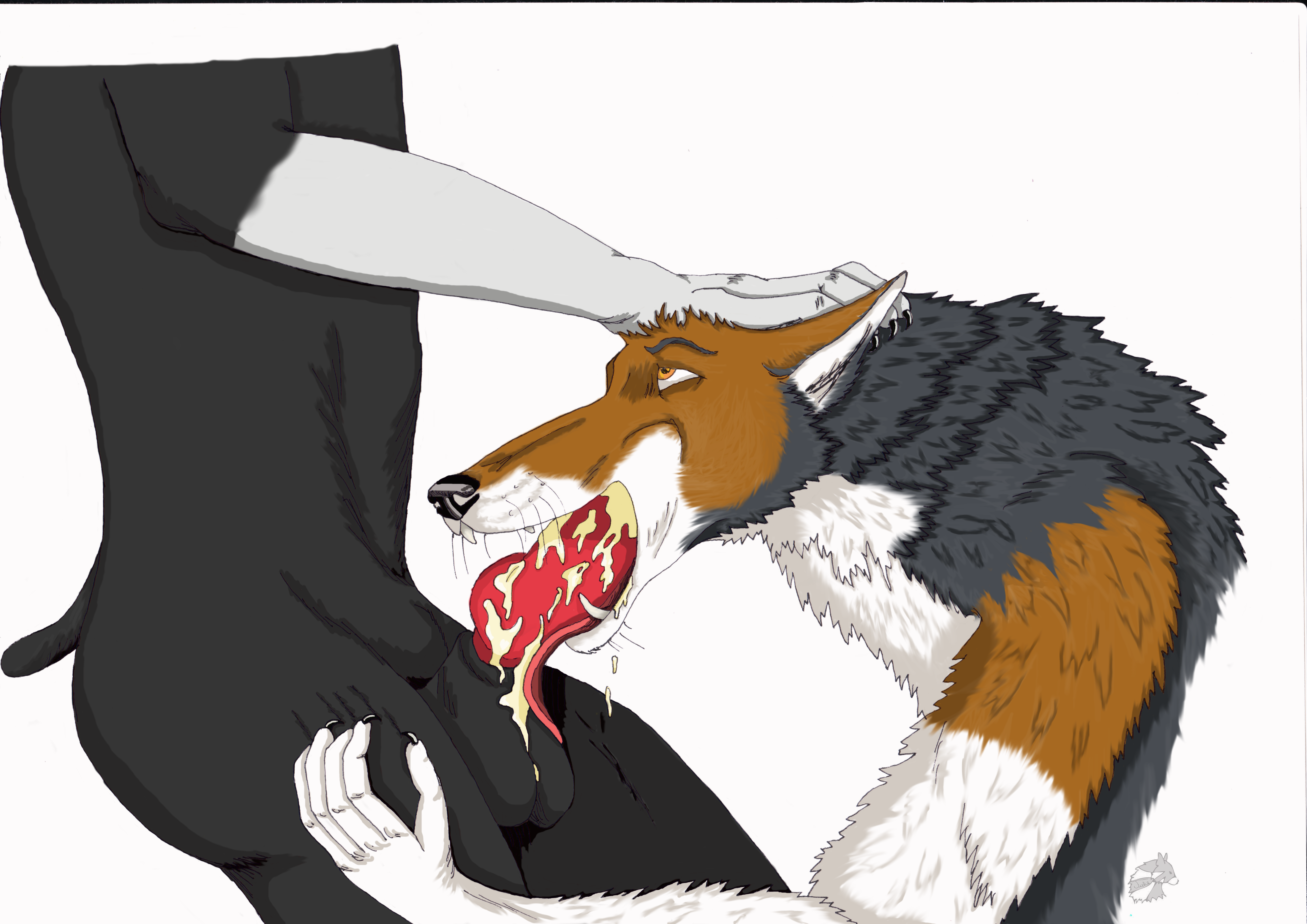 Canine Rule 34 Image