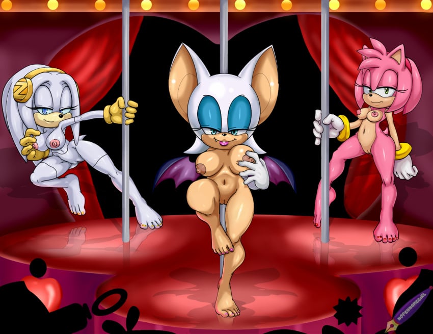 Amy Rose (Sonic (Series)) Rule 34 Image