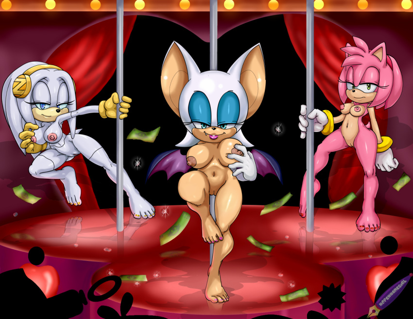 Amy Rose (Sonic (Series)) Rule 34 Image