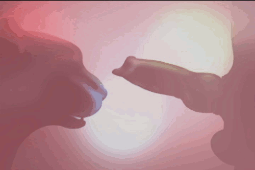 Ambiguous Gender Rule 34 Image