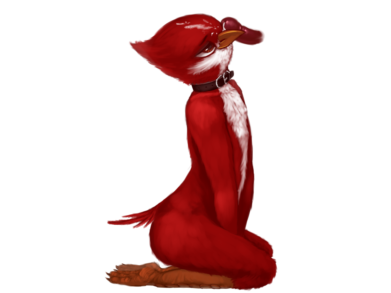 Avian (Starbound) Rule 34 Image