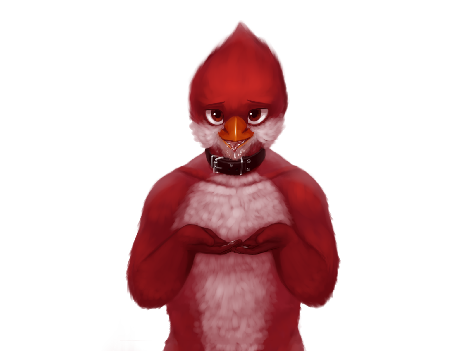 Avian (Starbound) Rule 34 Image