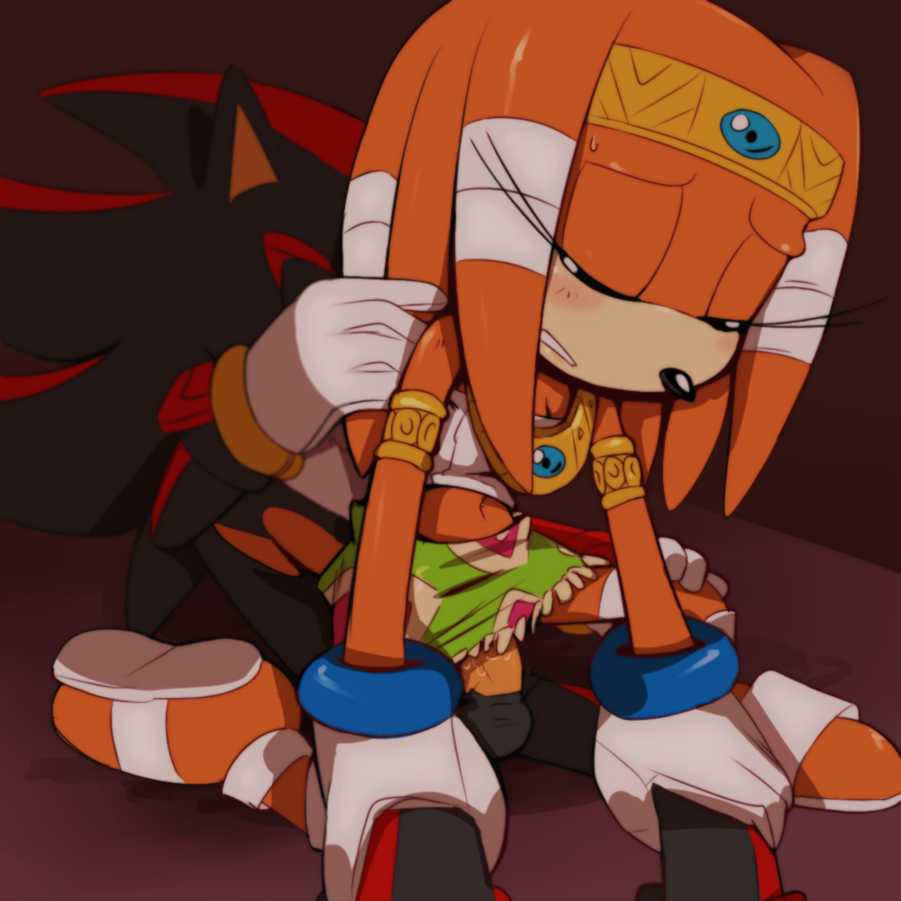 Shadow The Hedgehog (Sega) Rule 34 Image