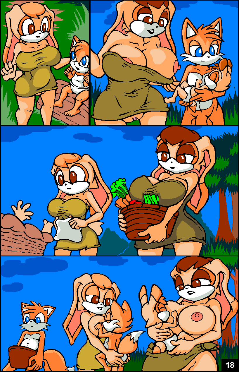 Cream The Rabbit (Sonic (Series)) Rule 34 Image