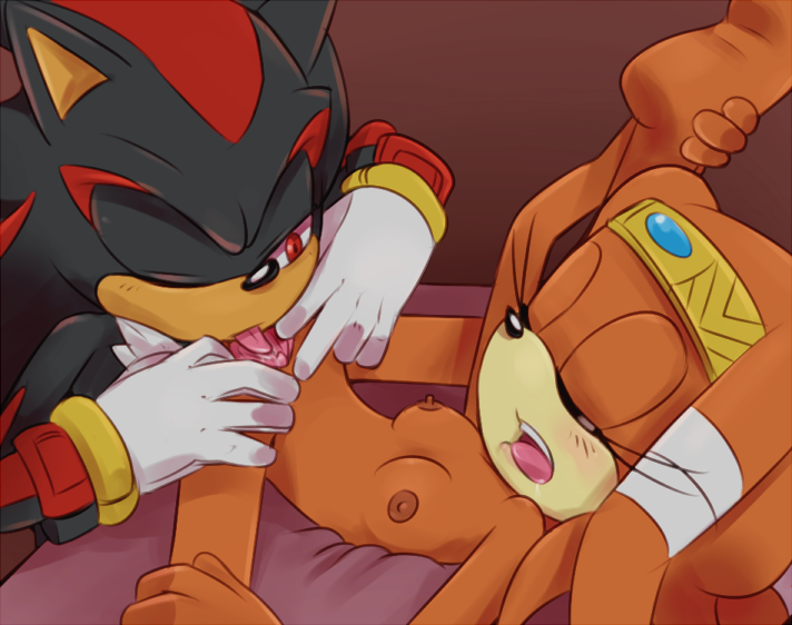 Shadow The Hedgehog (Sonic (Series)) Rule 34 Image