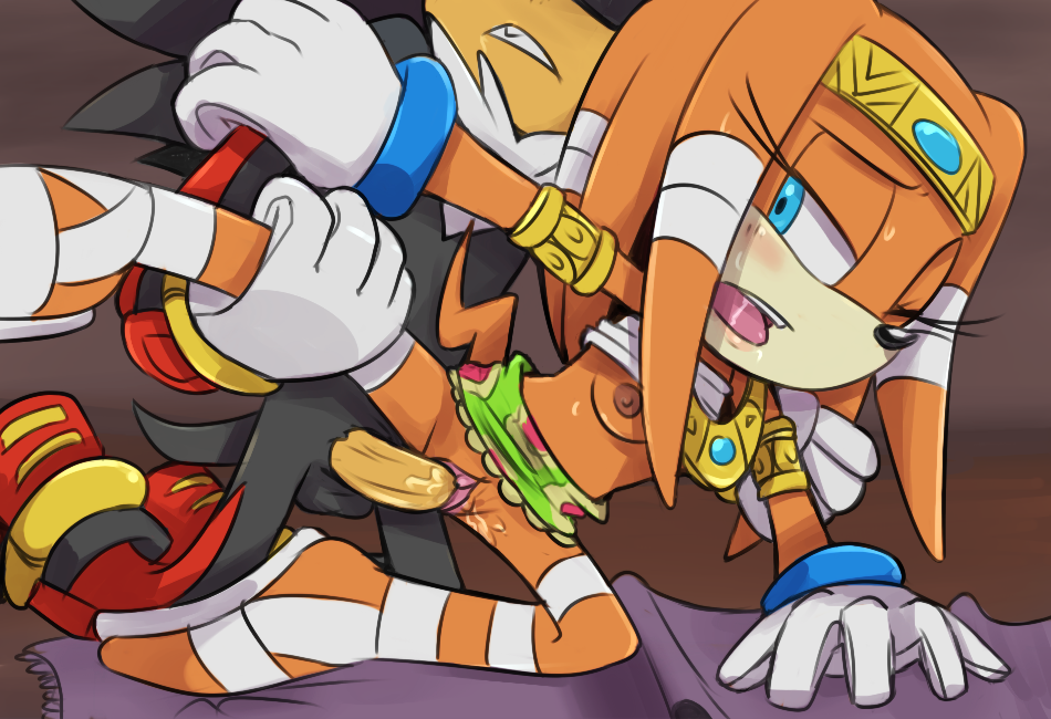 Shadow The Hedgehog (Sega) Rule 34 Image