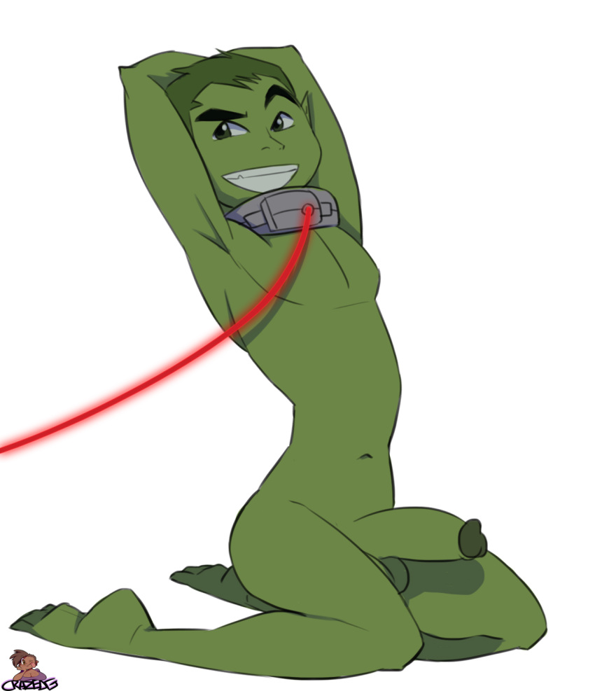 Beast Boy (Dc) Rule 34 Image